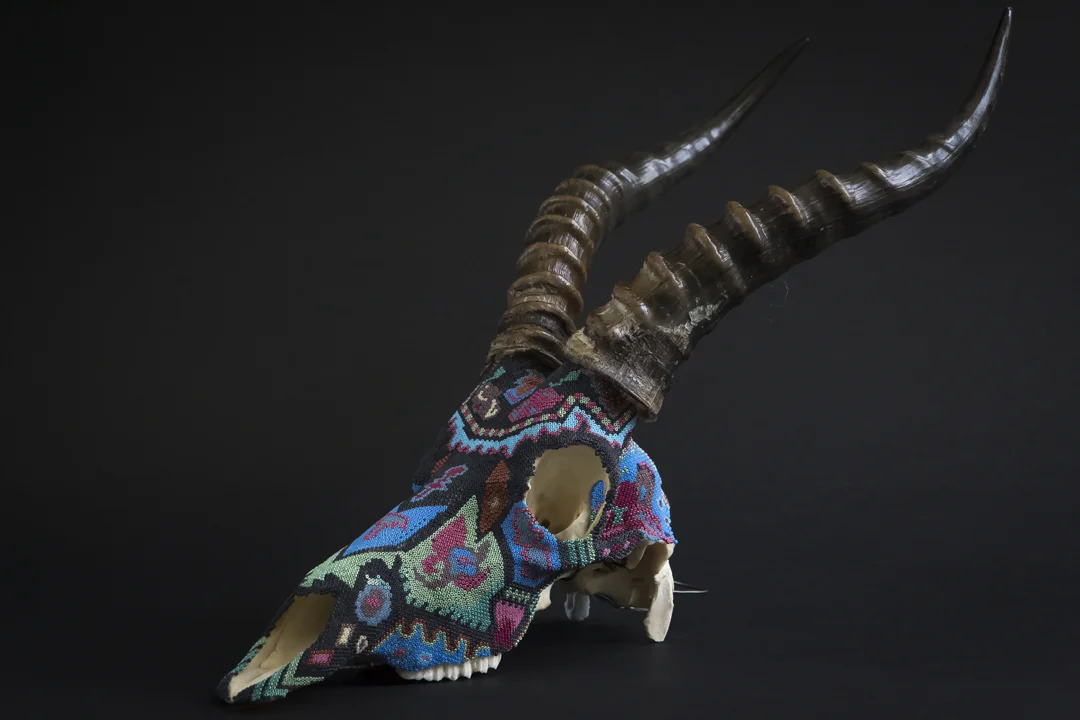 Jacksons Skull
