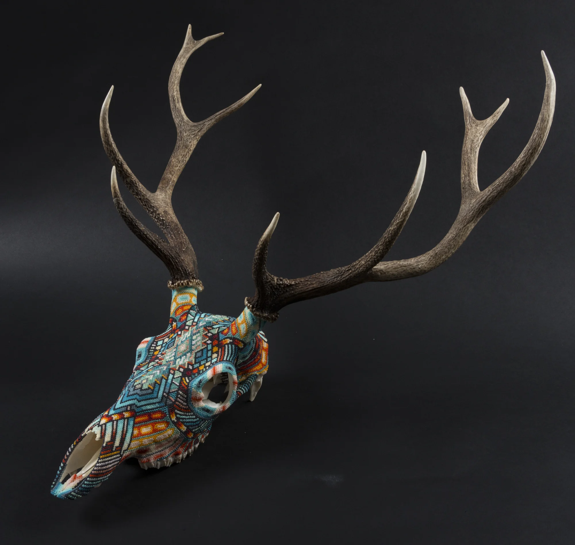 180626MORGAN ELK_02.jpg