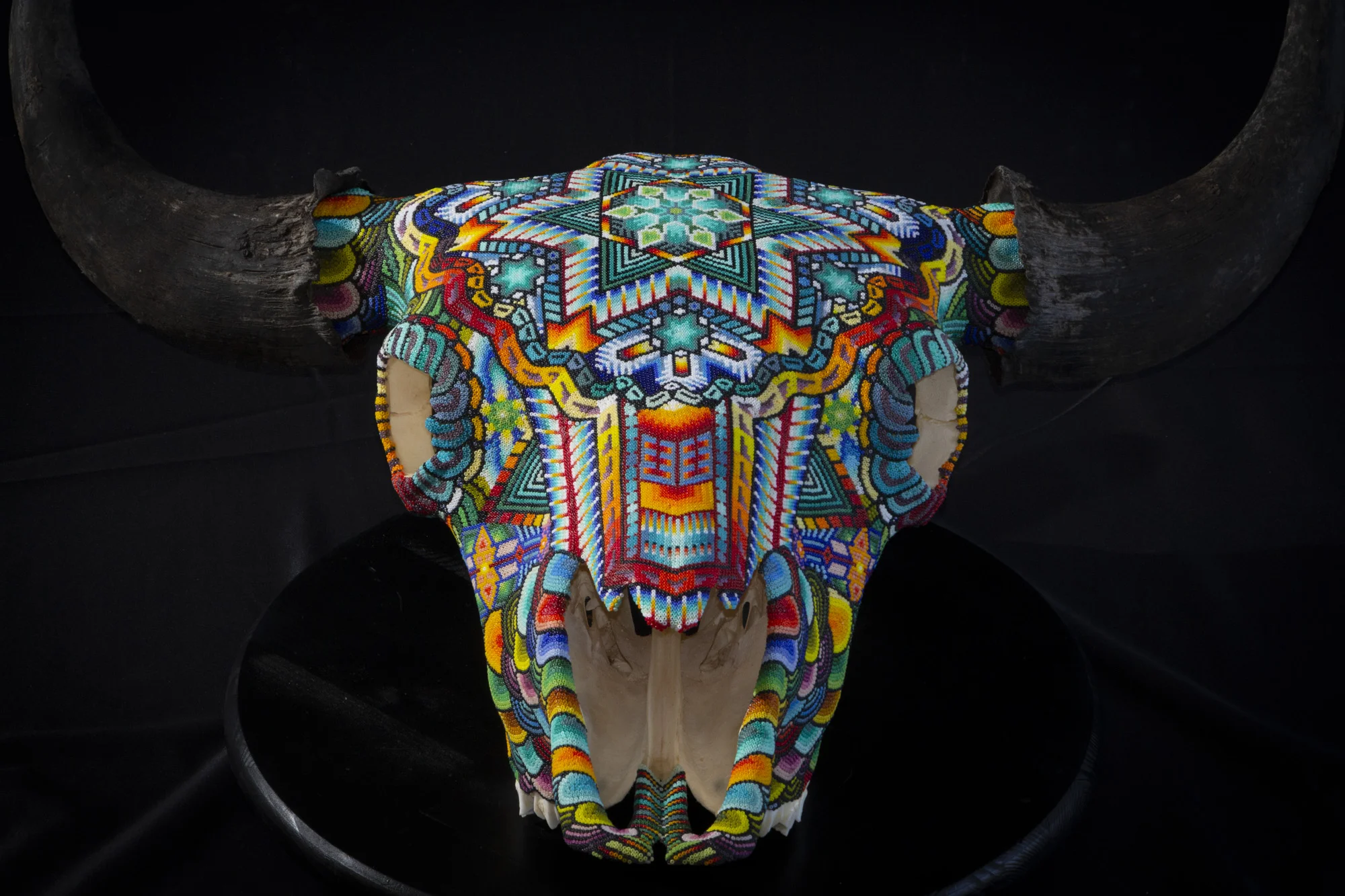 The buffalo skull was a beautiful specimen from Montana and it produced an incredibly symmetrical bead design.