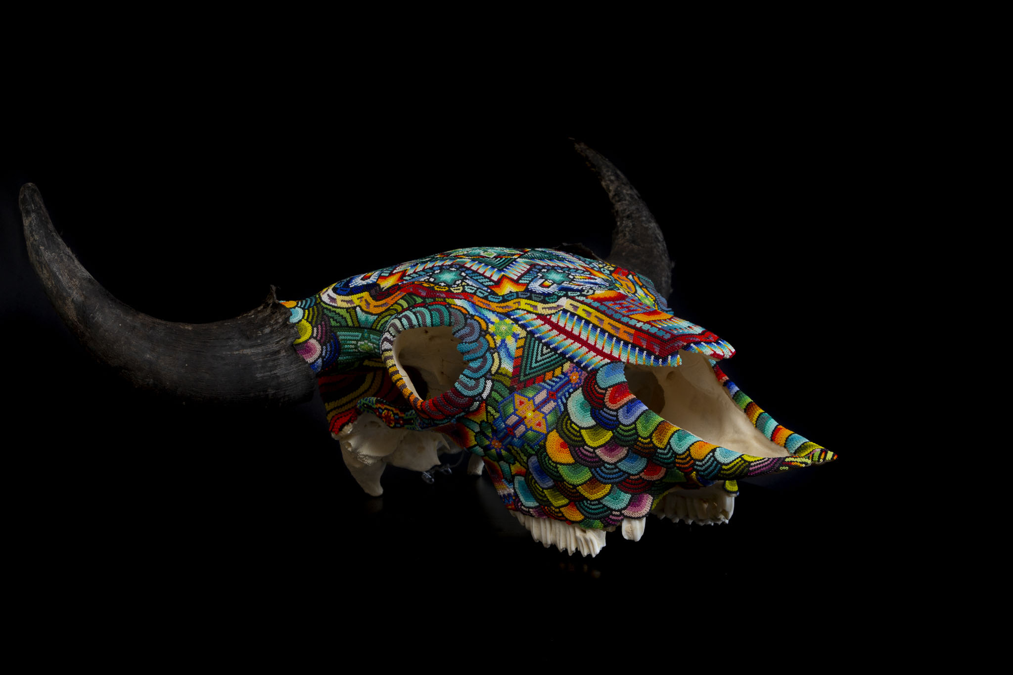 190409Morgans Buffalo_WEB HR.JPG