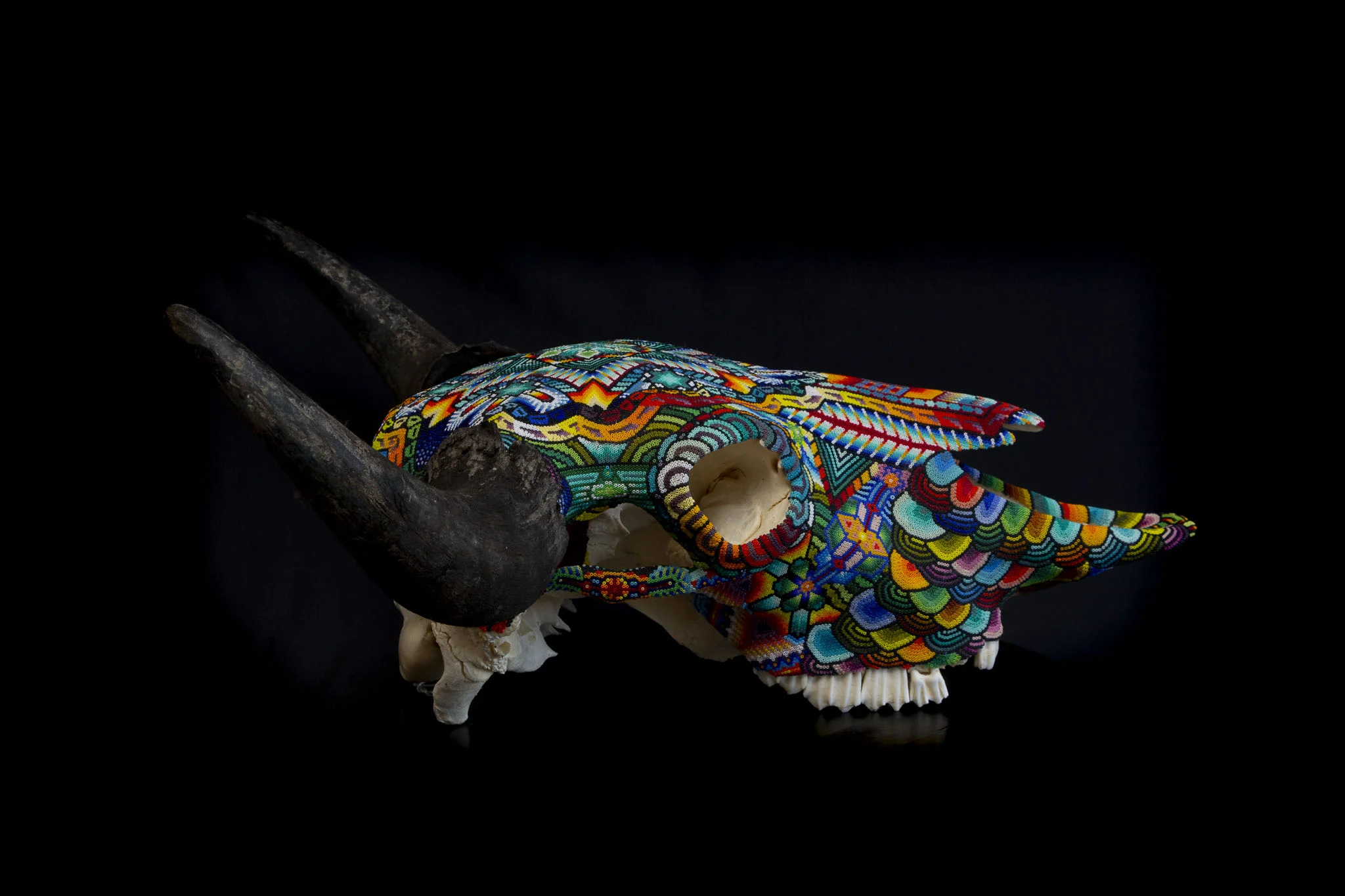 190409Morgans Buffalo_WEB HR_1.JPG