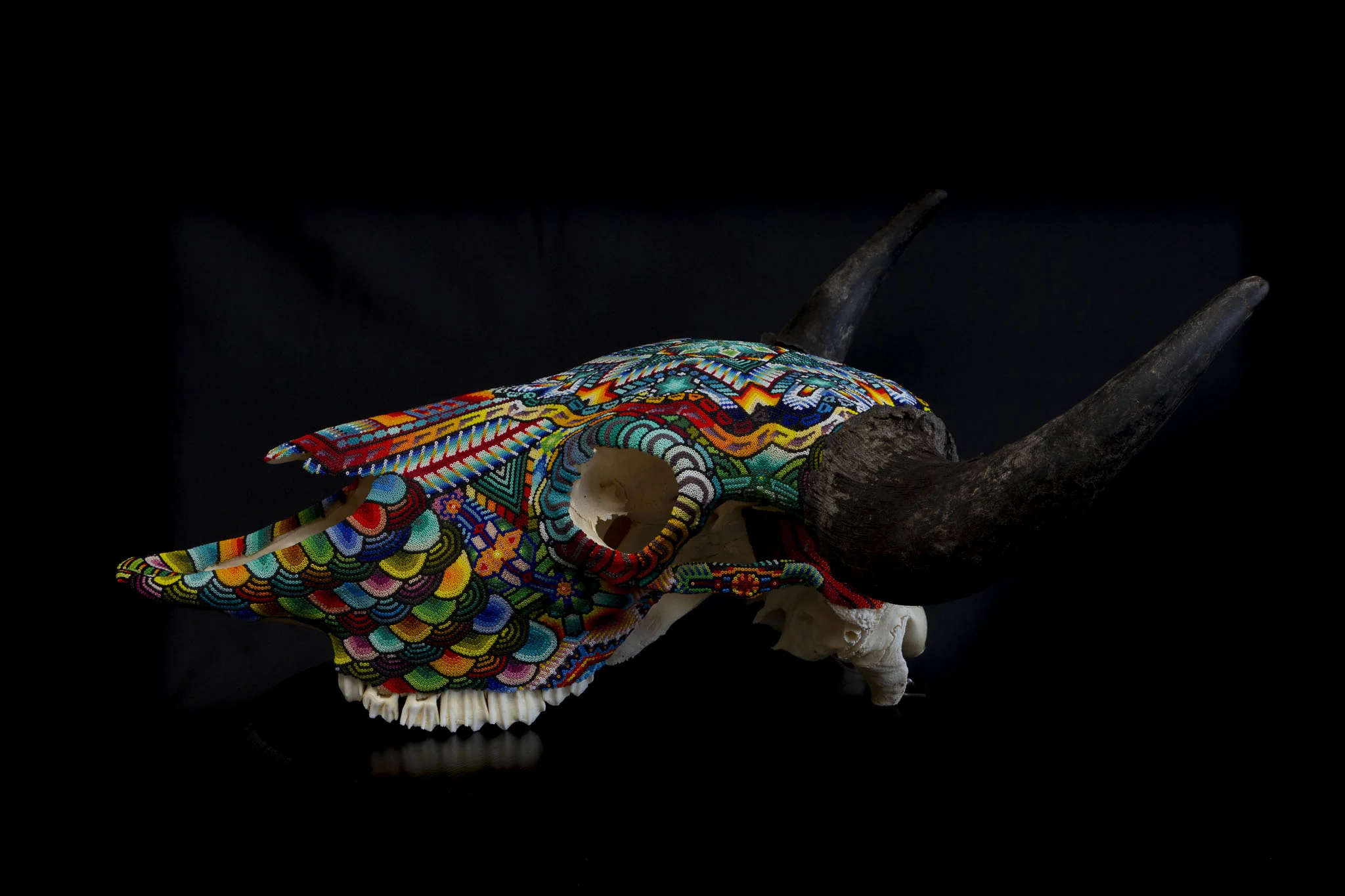 190409Morgans Buffalo_WEB HR_2.JPG