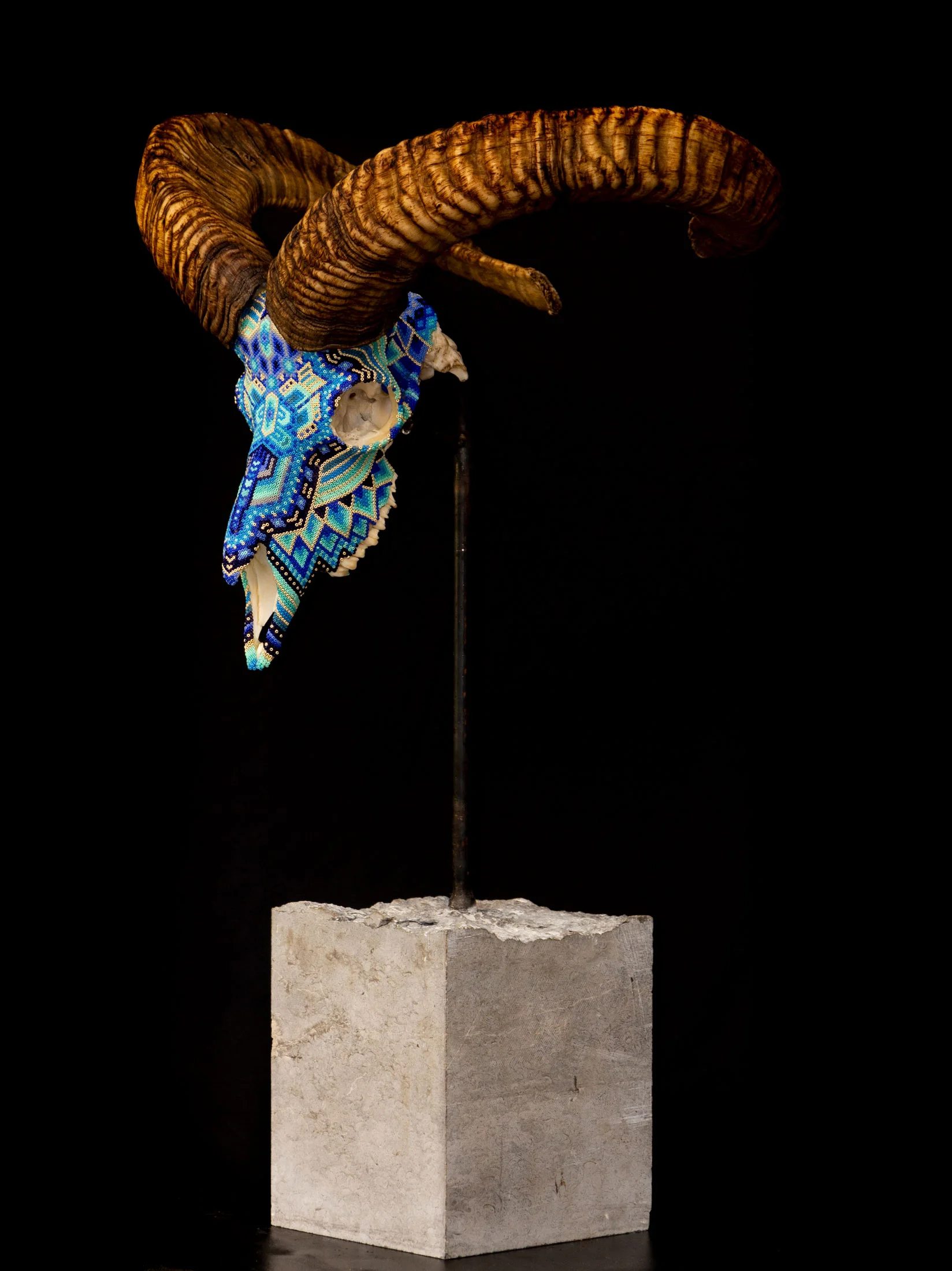  mounted on a ~40 lb custom cut slab of ‘Pietra Blue’ stone. The top of the slab is raw. The skull is held by a custom made 1/2” steel bar with a filleted base. 