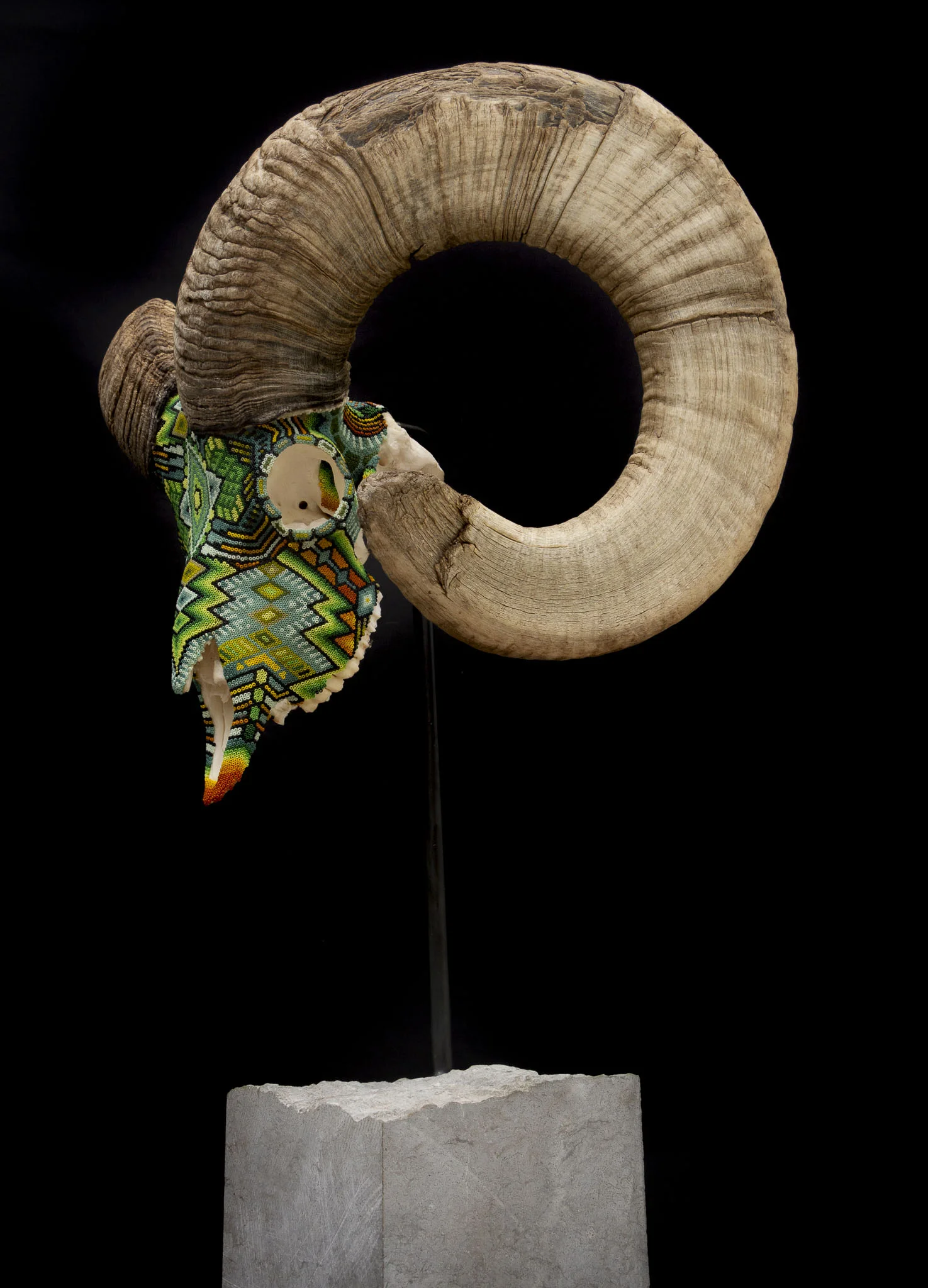  it was difficult to mount this sheep skull on the floating stand. Since one horn is missing the skull is off balance. It took some trial and error but we figured out a way to securely mount the skull without it being all caddywompus. 