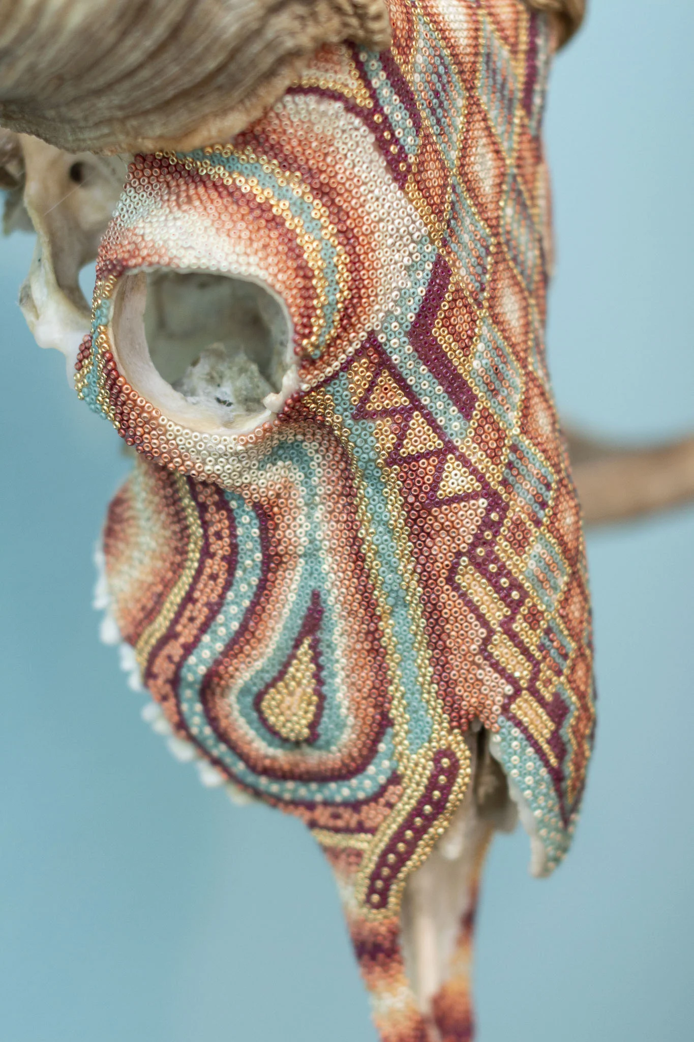 190410Julies ram_WEB HR_2.JPG