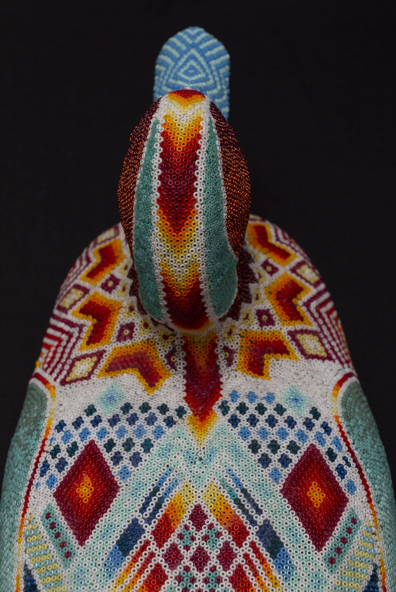 190415Stevosduck_WEB HR_2.JPG