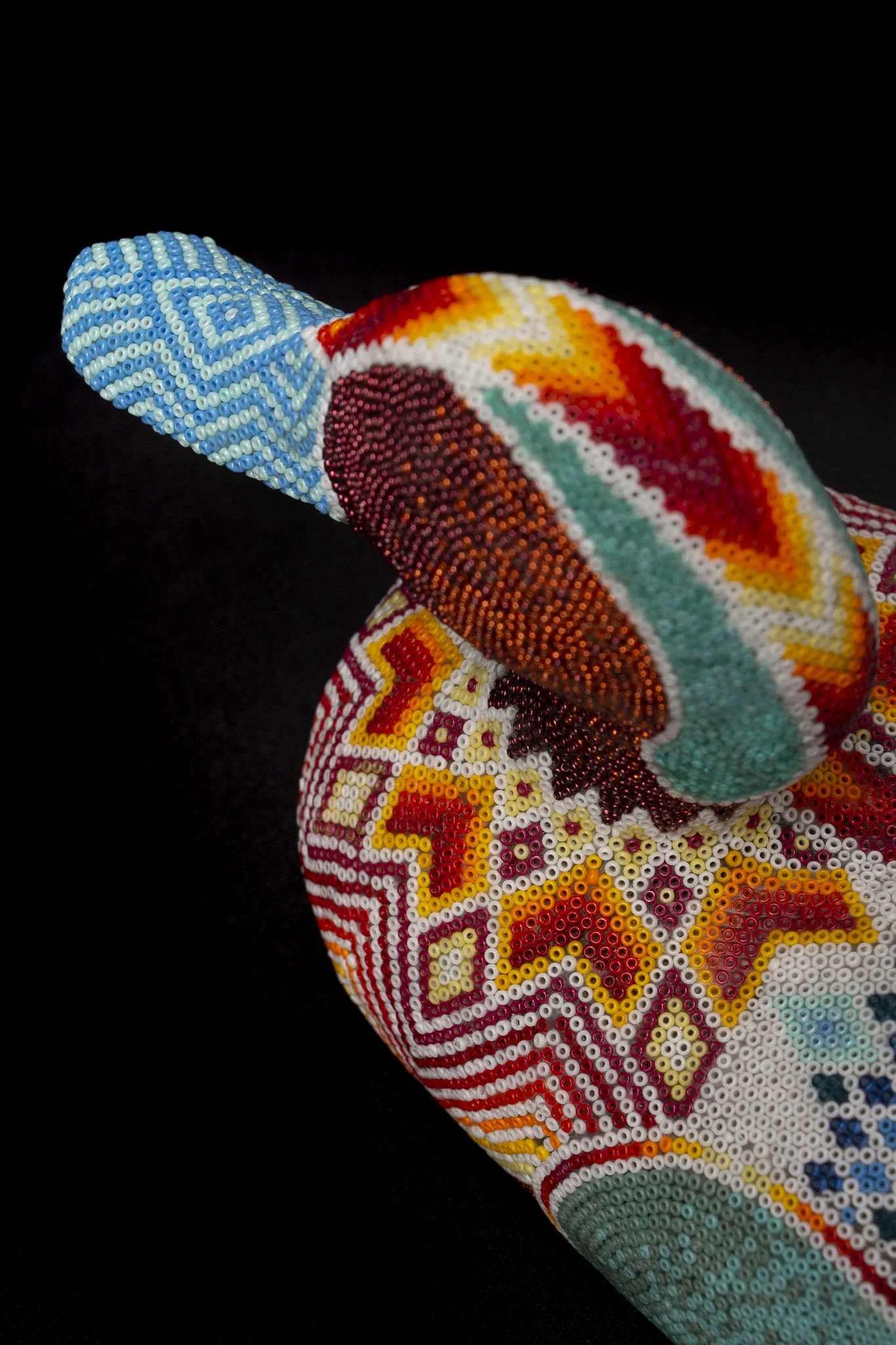 190415Stevosduck_WEB HR_3.JPG