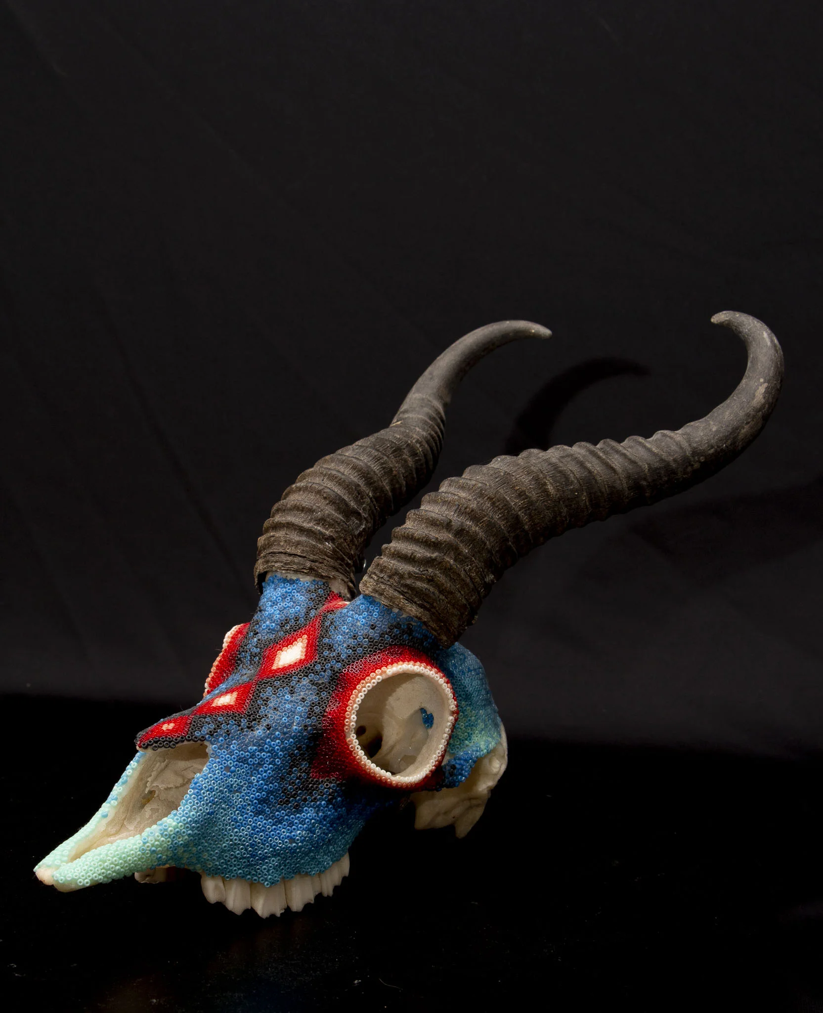 190416barretts springbok_WEB HR_1.JPG