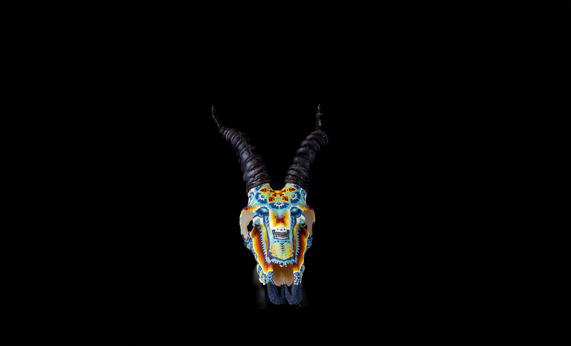 190423_blesbok_WEB-HR_SPIN.gif