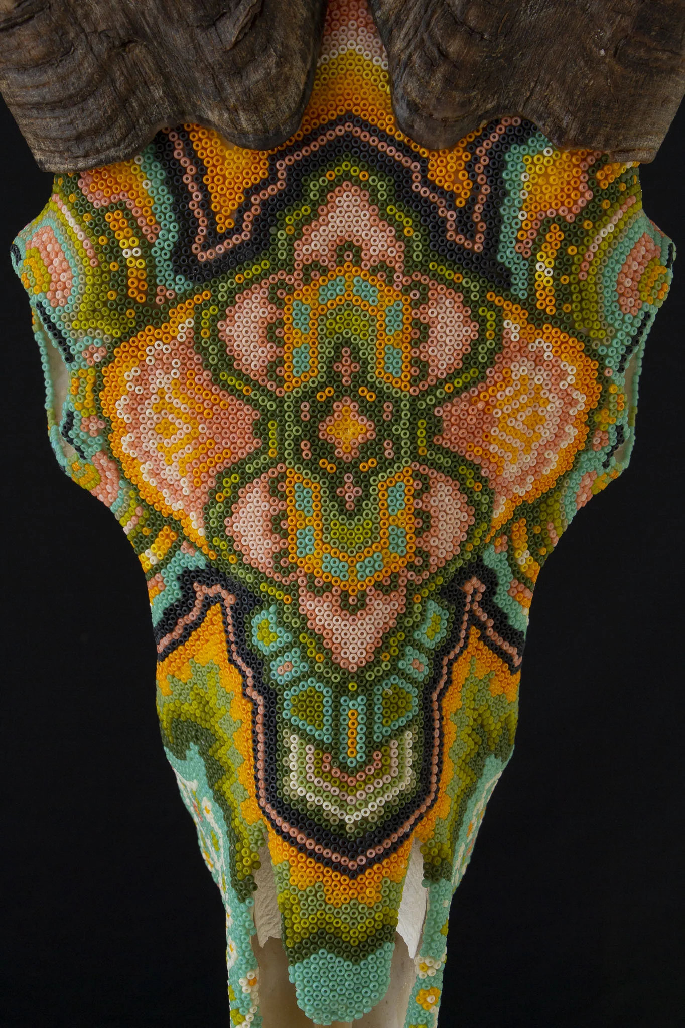 190410michas audad_WEB HR_1.JPG