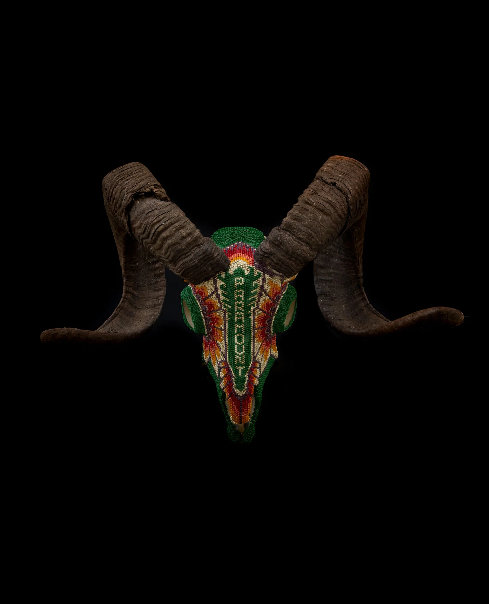 CORSICAN-RAM_MG_6581_THUMB.jpg