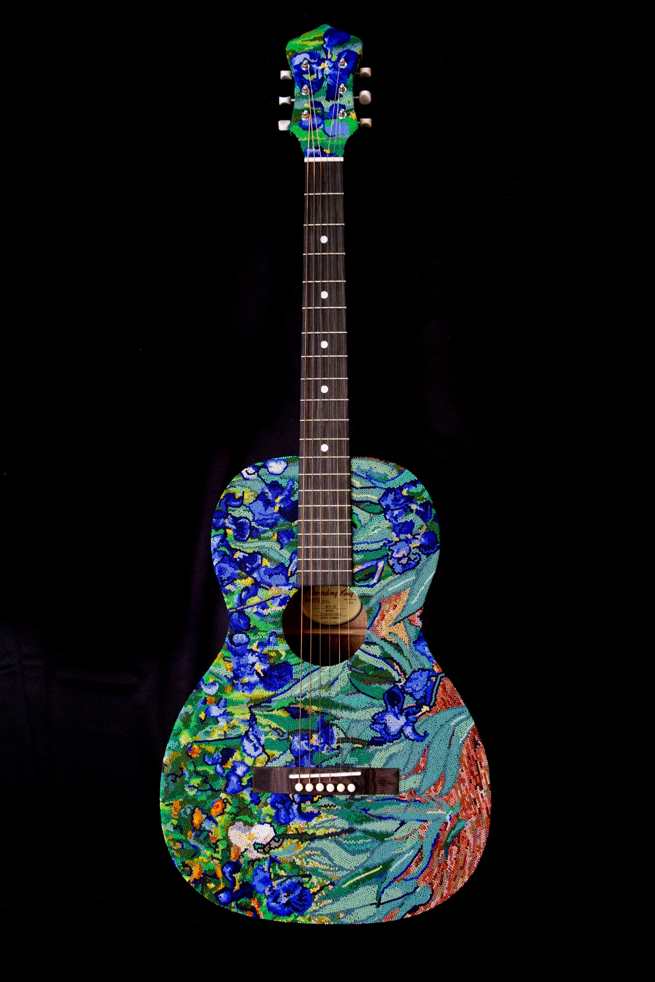 Van Gogh's Irises on Parlor Guitar 2018