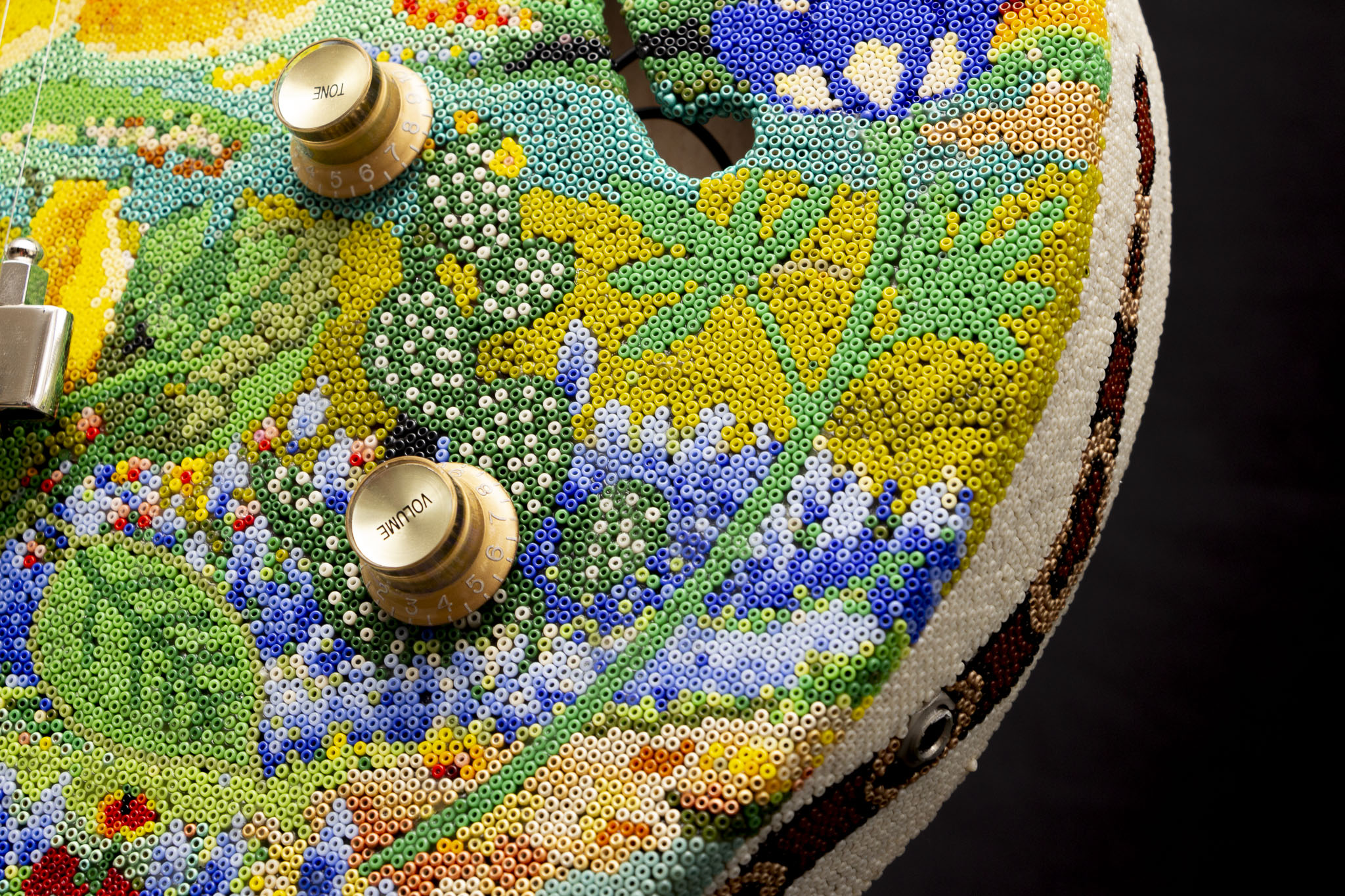 190415texas flowers guitar_WEB HR_2.JPG