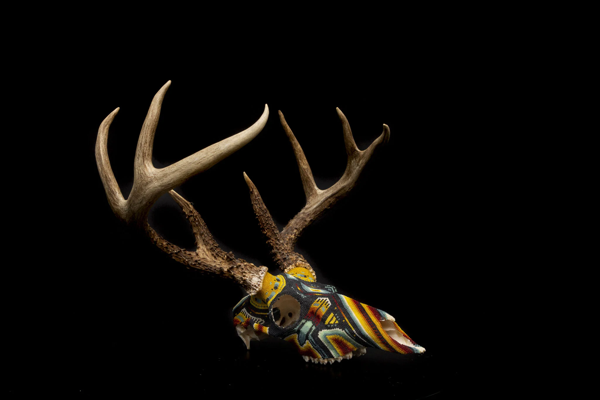 190423_DARK DEER_WEB HR_4.JPG