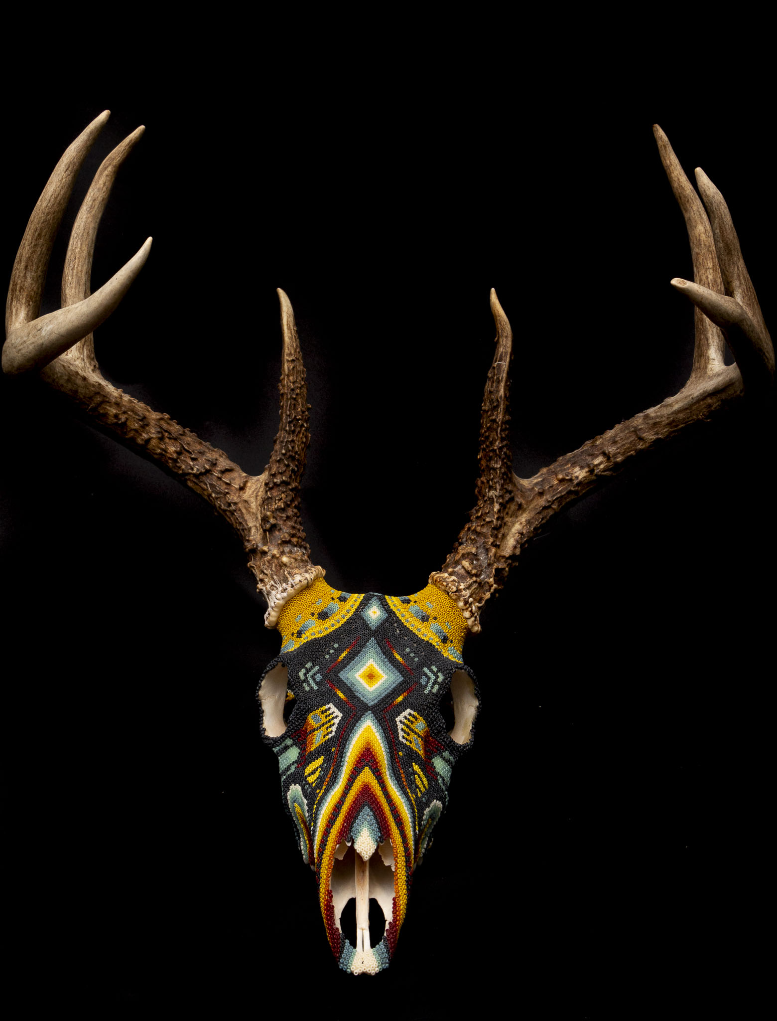 190423_DARK DEER_WEB HR_3.JPG