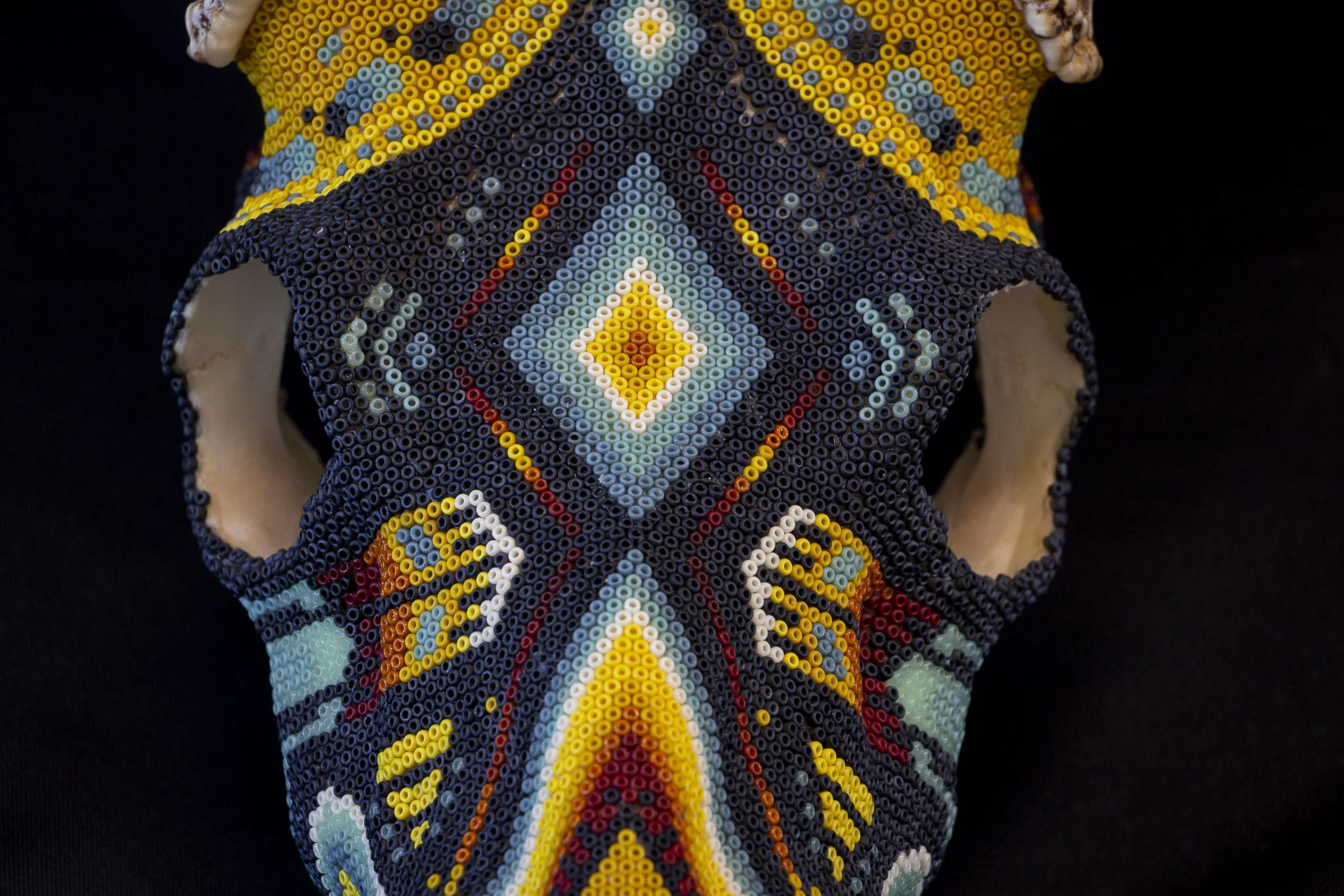 190423_DARK DEER_WEB HR_2.JPG