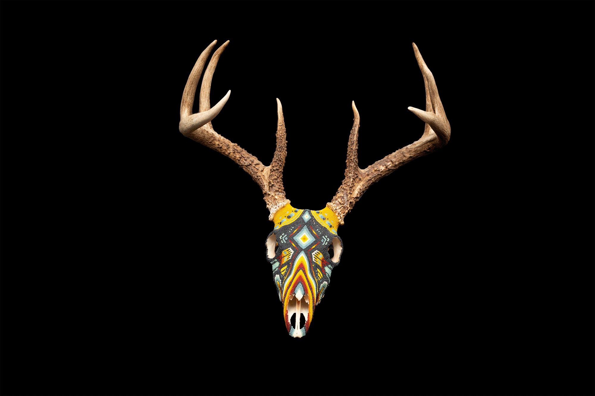 Deer No. 7