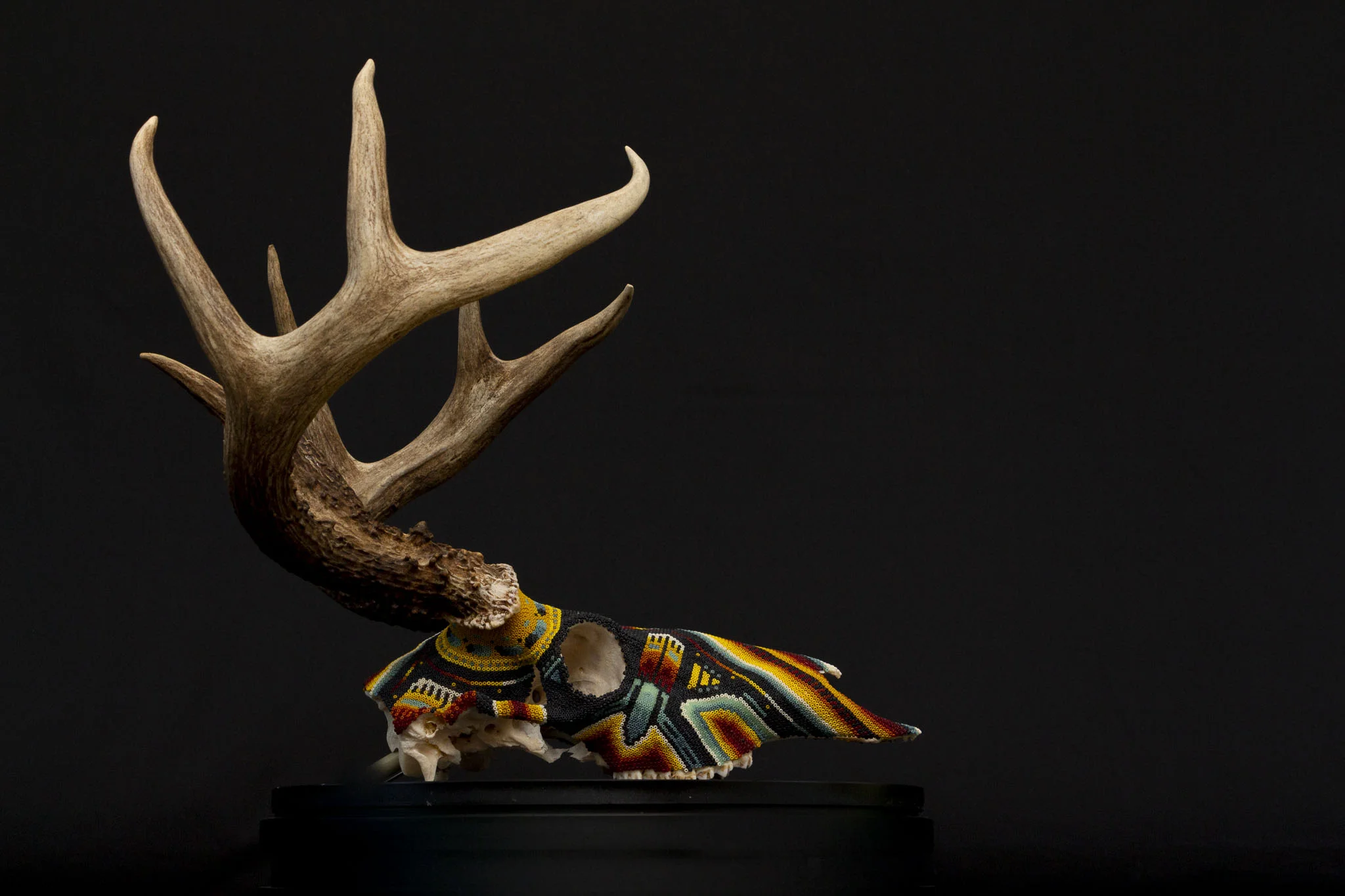 190423_DARK DEER_WEB HR_1.JPG