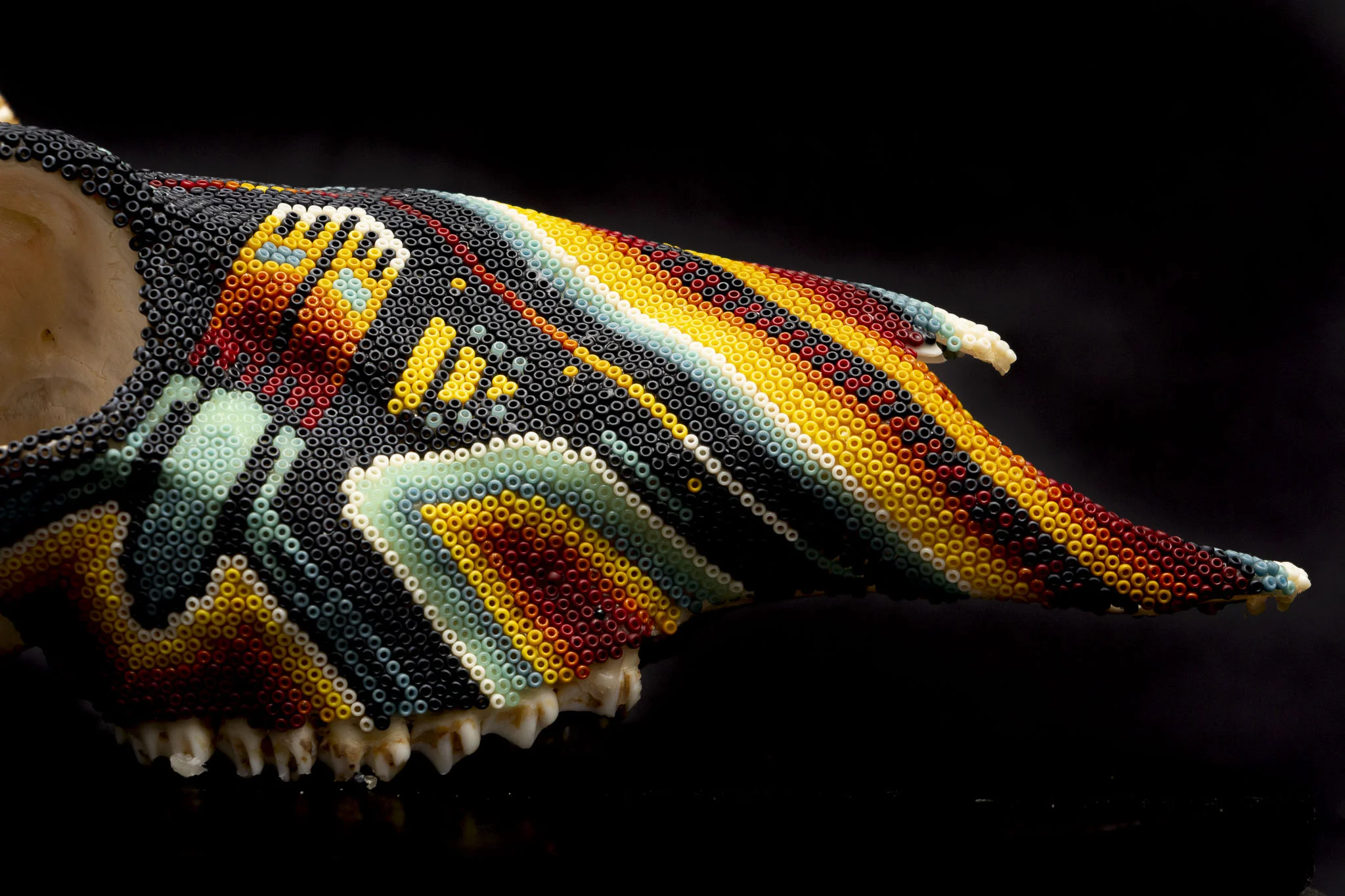 190423_DARK DEER_WEB HR.JPG