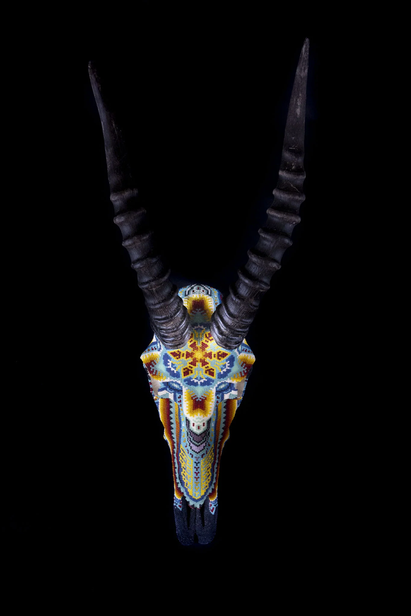 190423blesbok_WEB HR.JPG