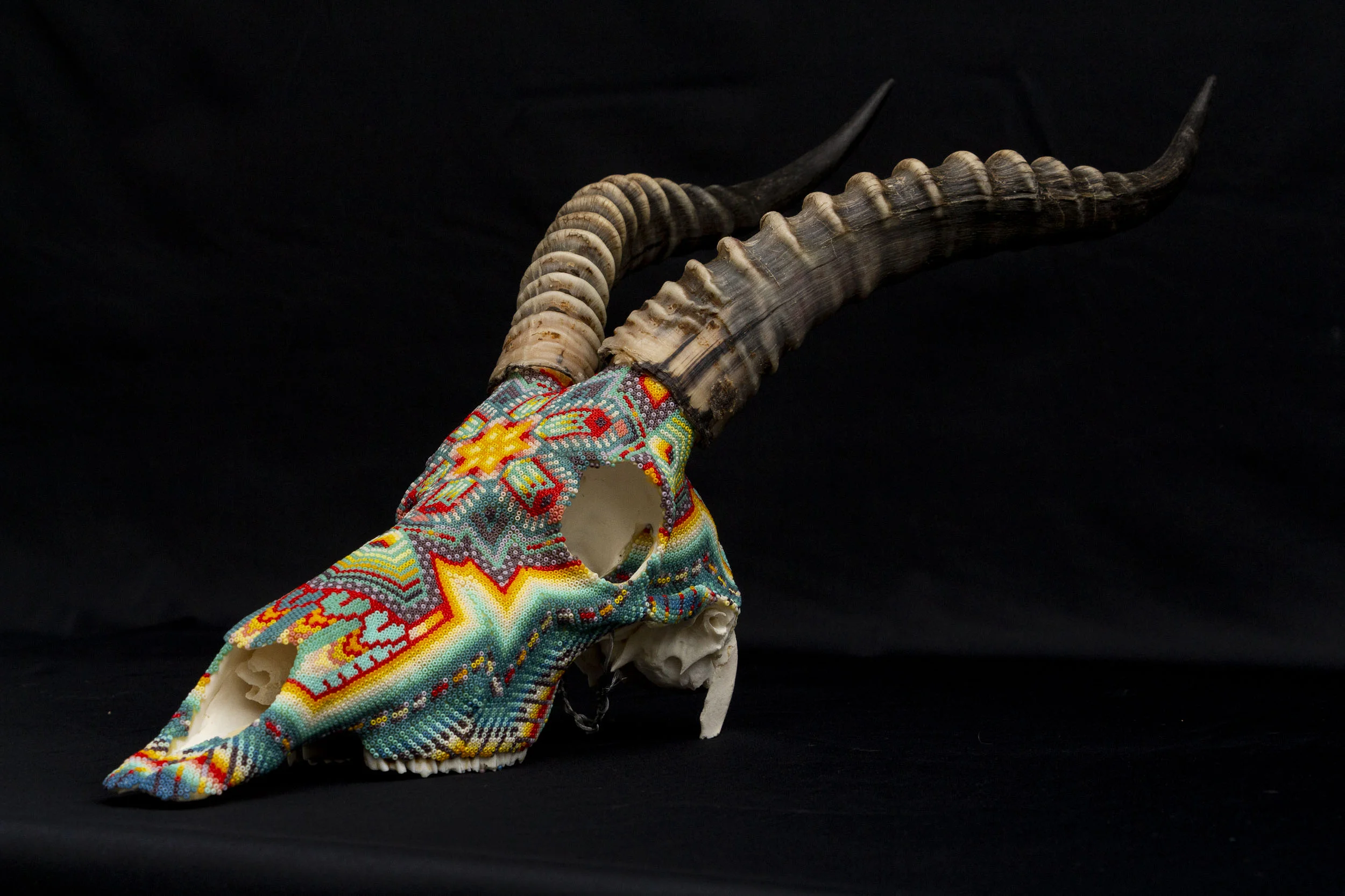 190524_Blesbok III_WEB HR_4.JPG