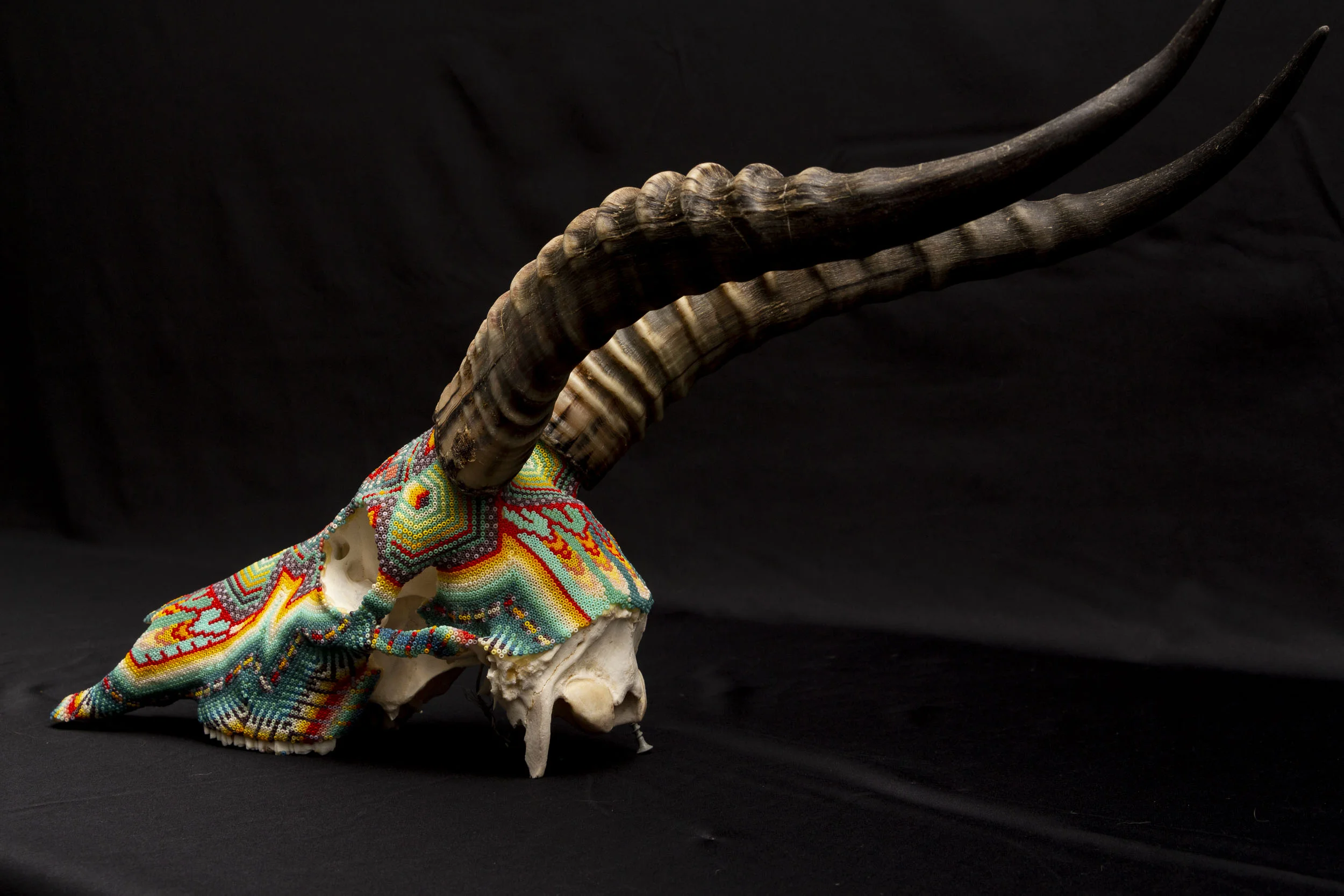 190524_Blesbok III_WEB HR_5.JPG