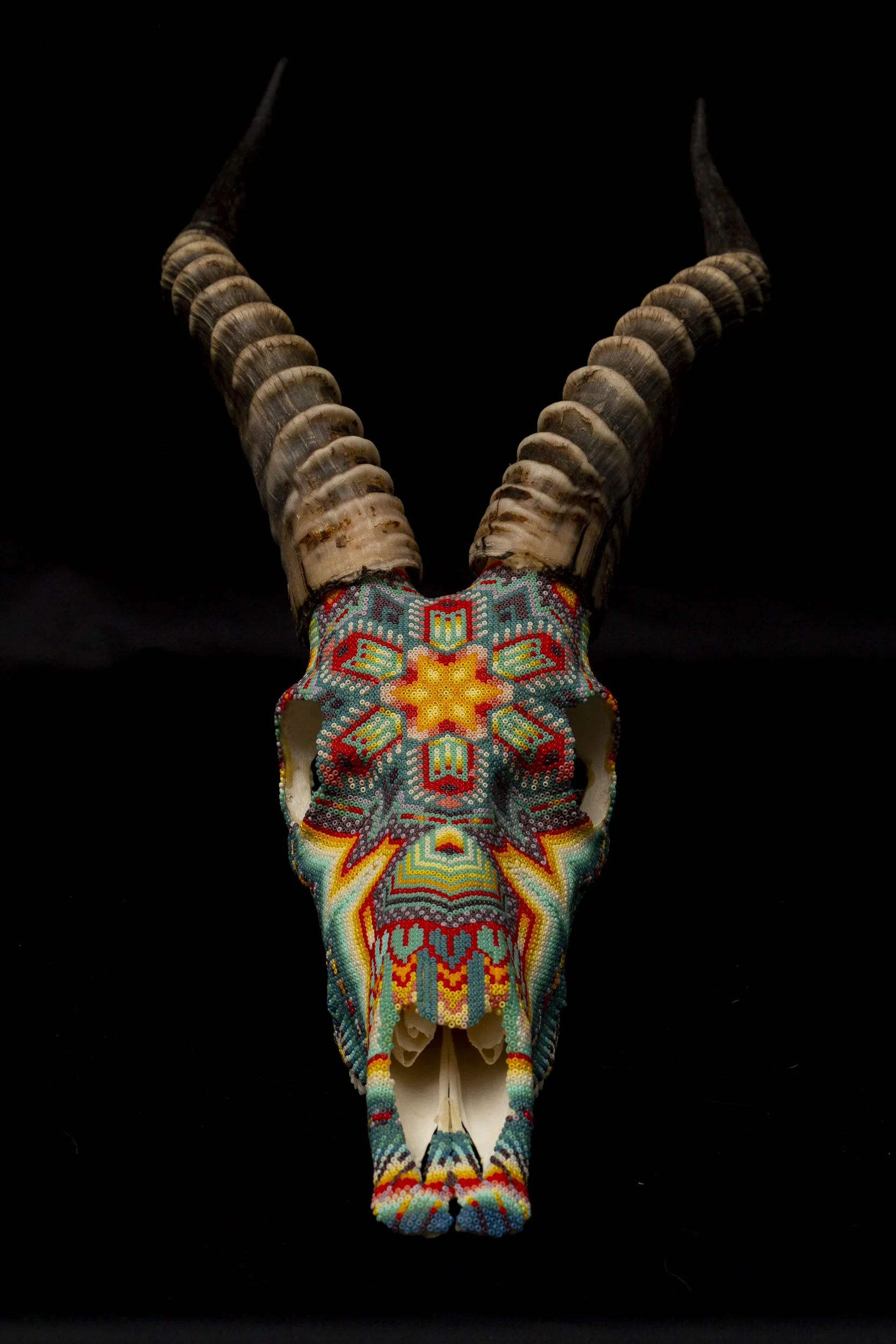 190524_Blesbok III_WEB HR_7.JPG