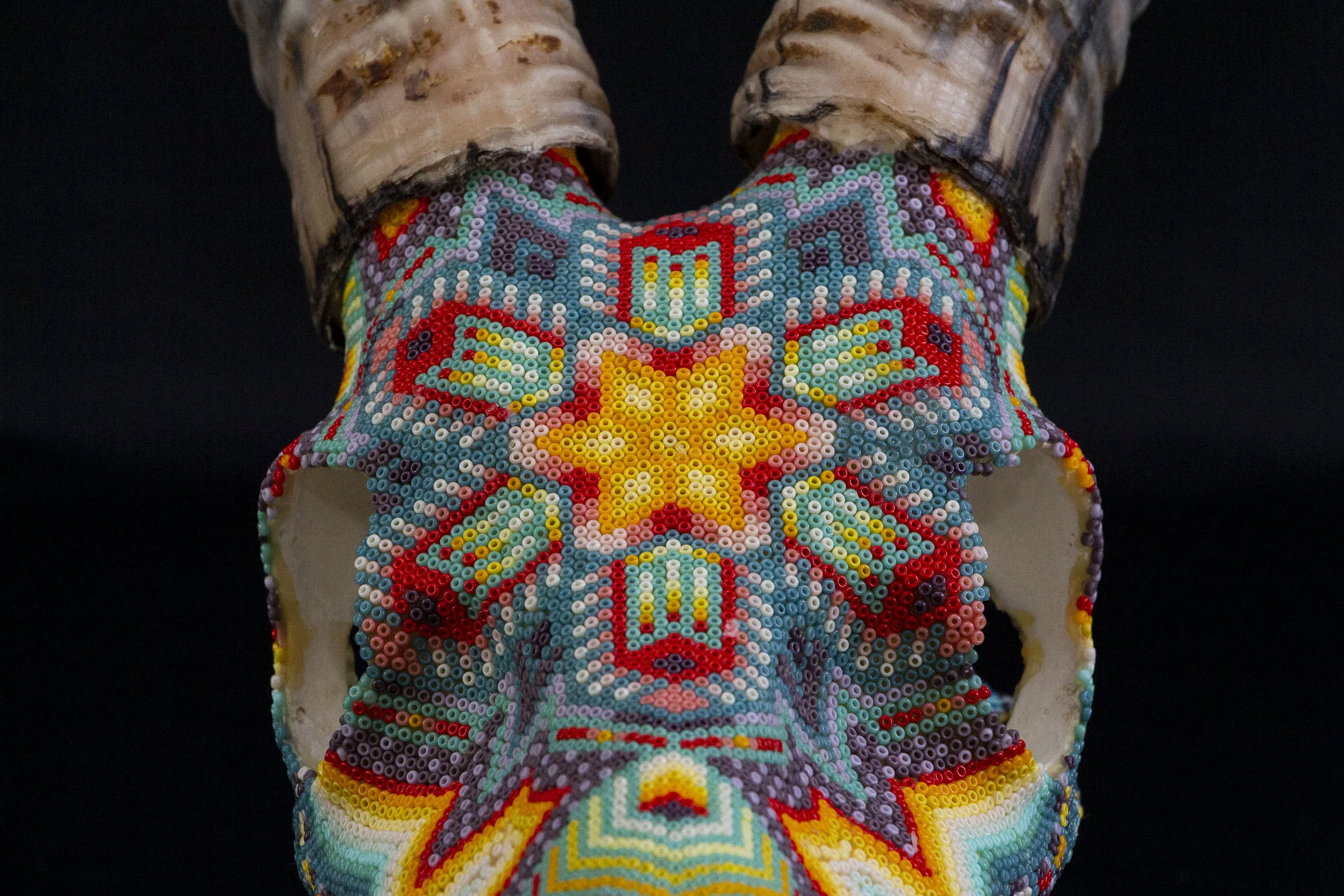 190524_Blesbok III_WEB HR_8.JPG