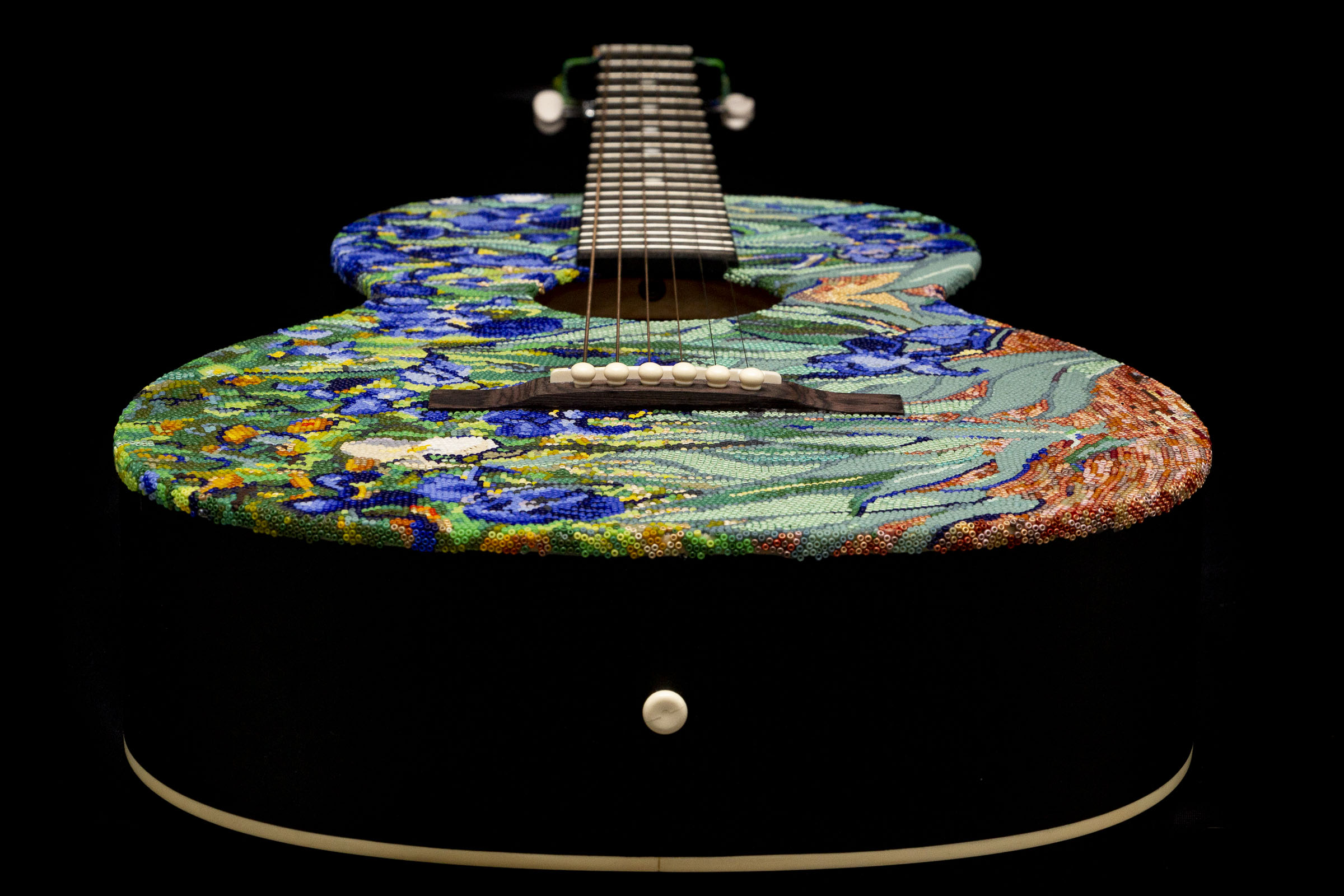 190430_irises_WEB HR_3.JPG