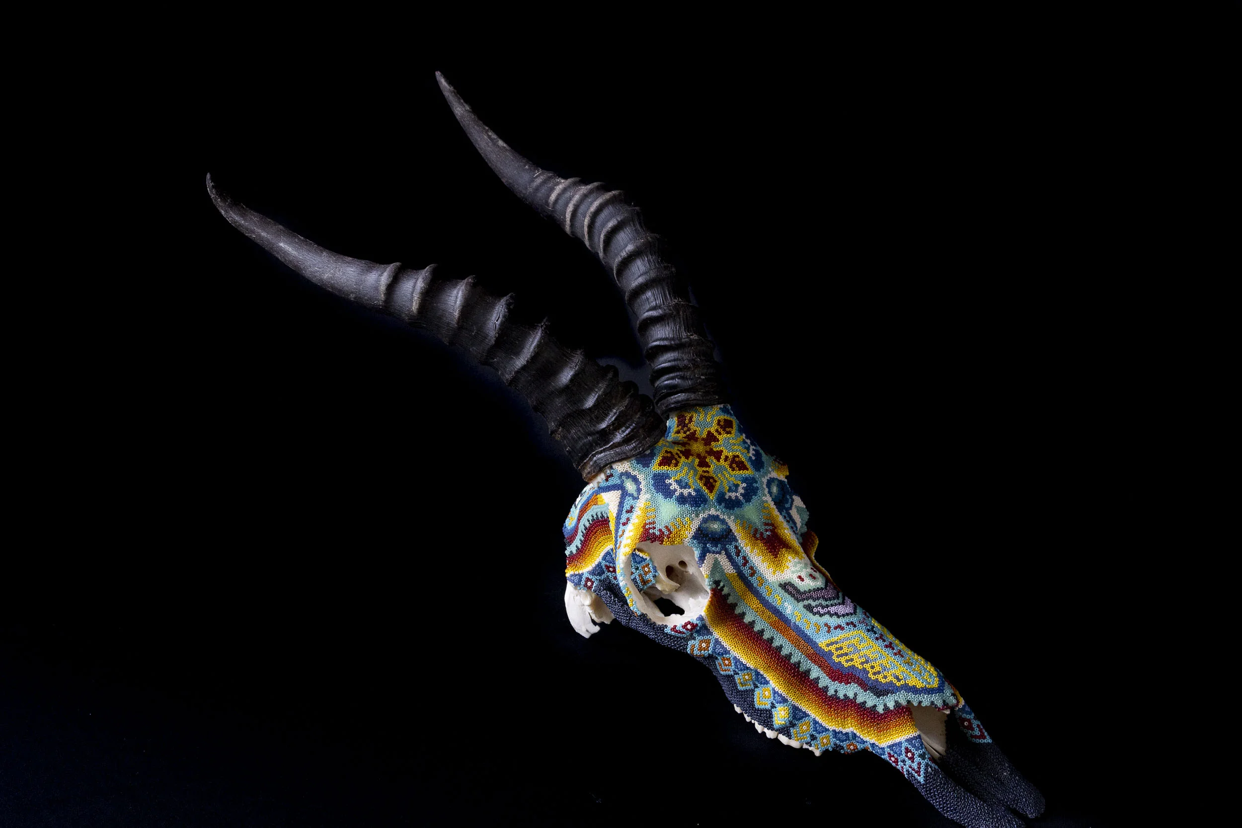 190527_Blesbok II_WEB HR_3.JPG