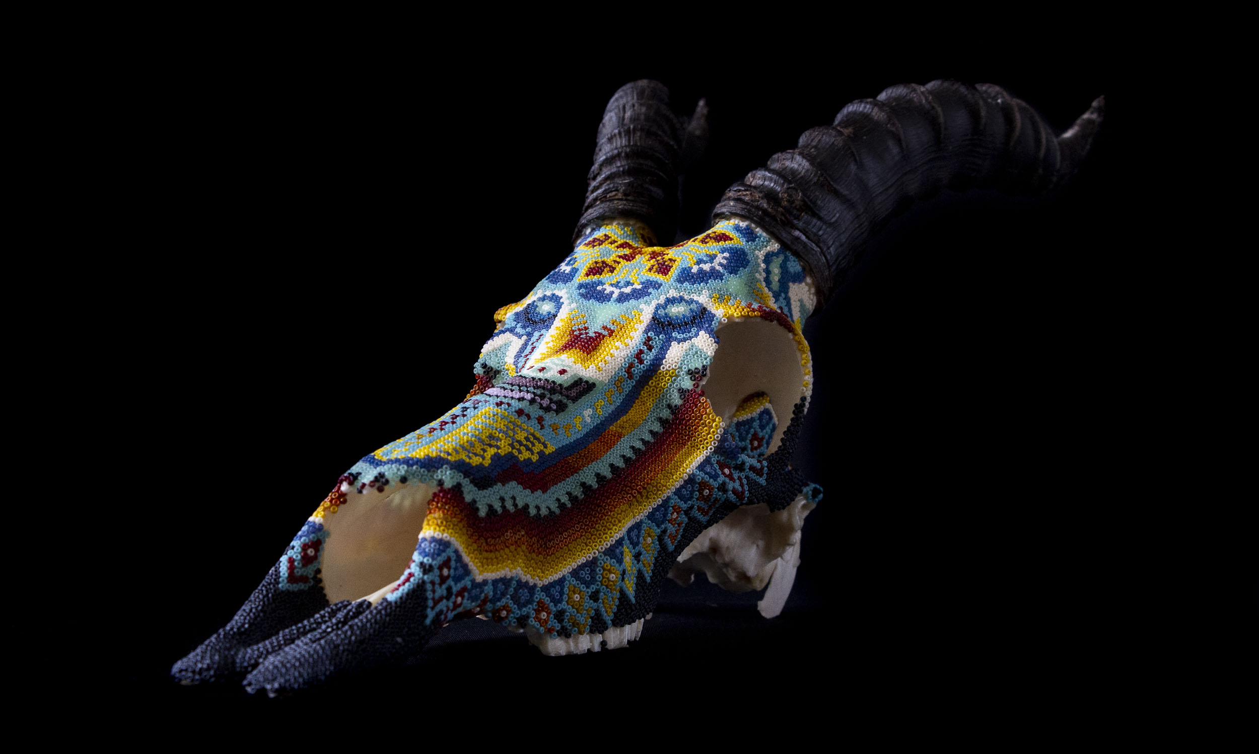 190527_Blesbok II_WEB HR_2.JPG