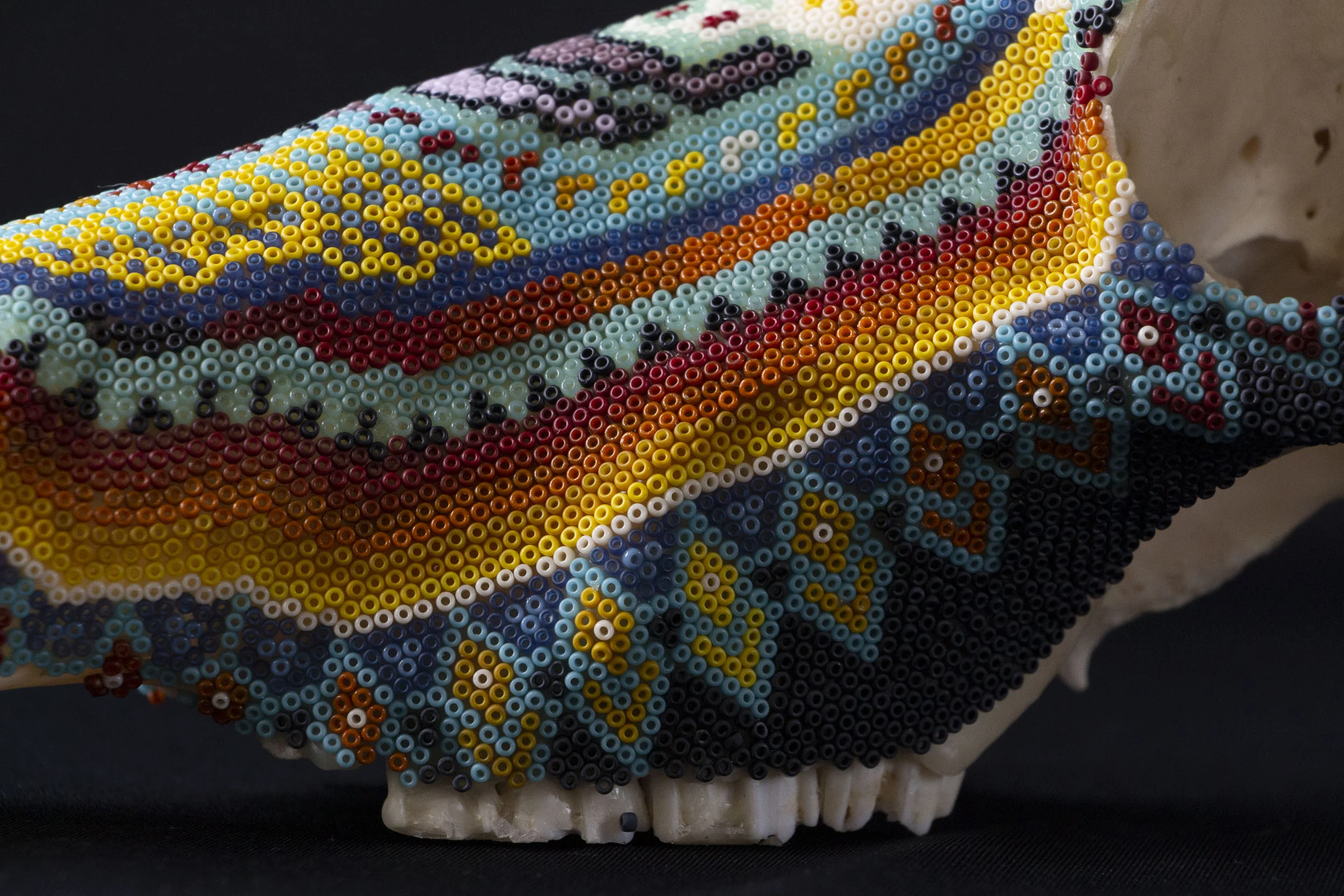 190527_Blesbok II_WEB HR_1.JPG