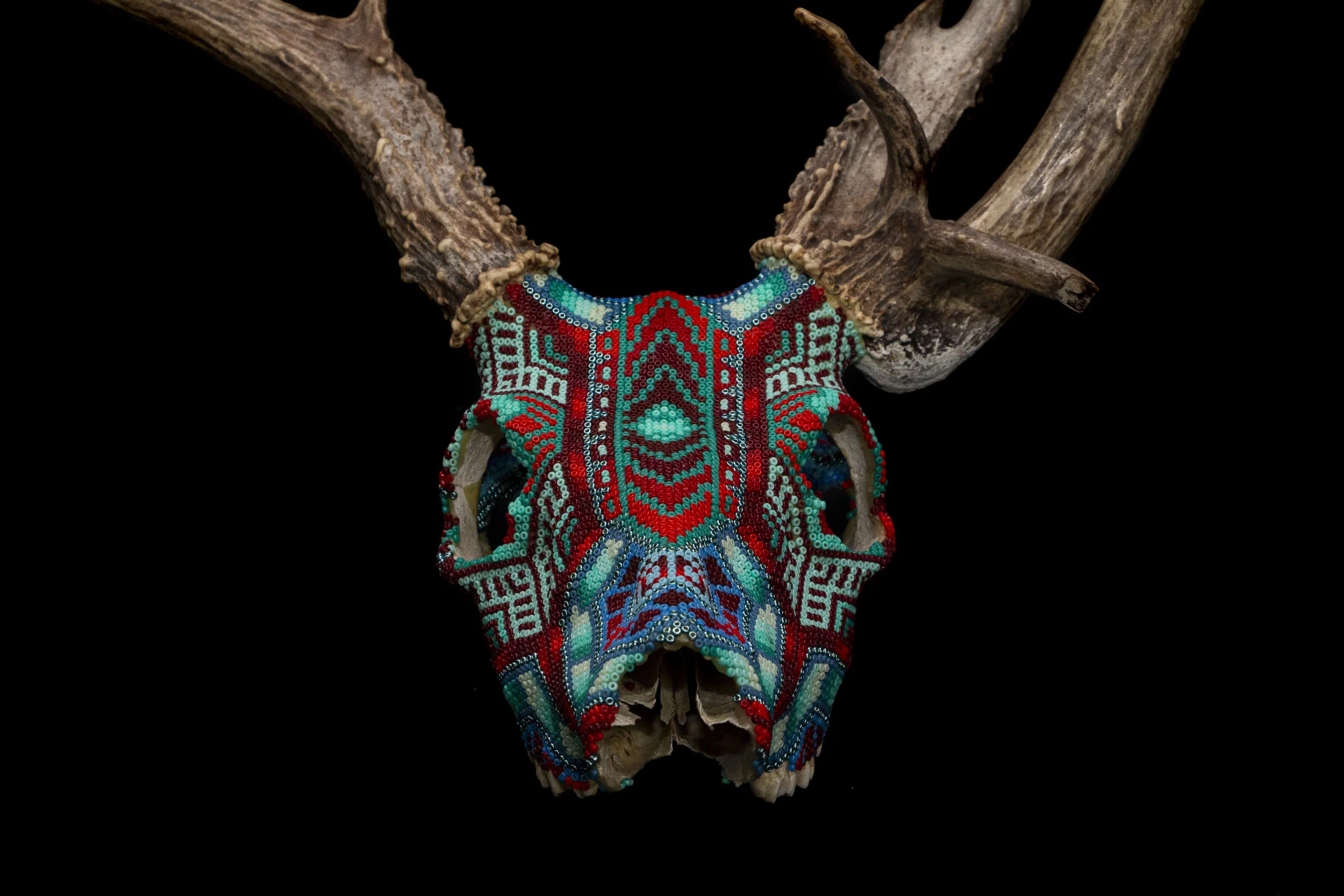 190601_CLIVES DEER_WEB HR_2.JPG