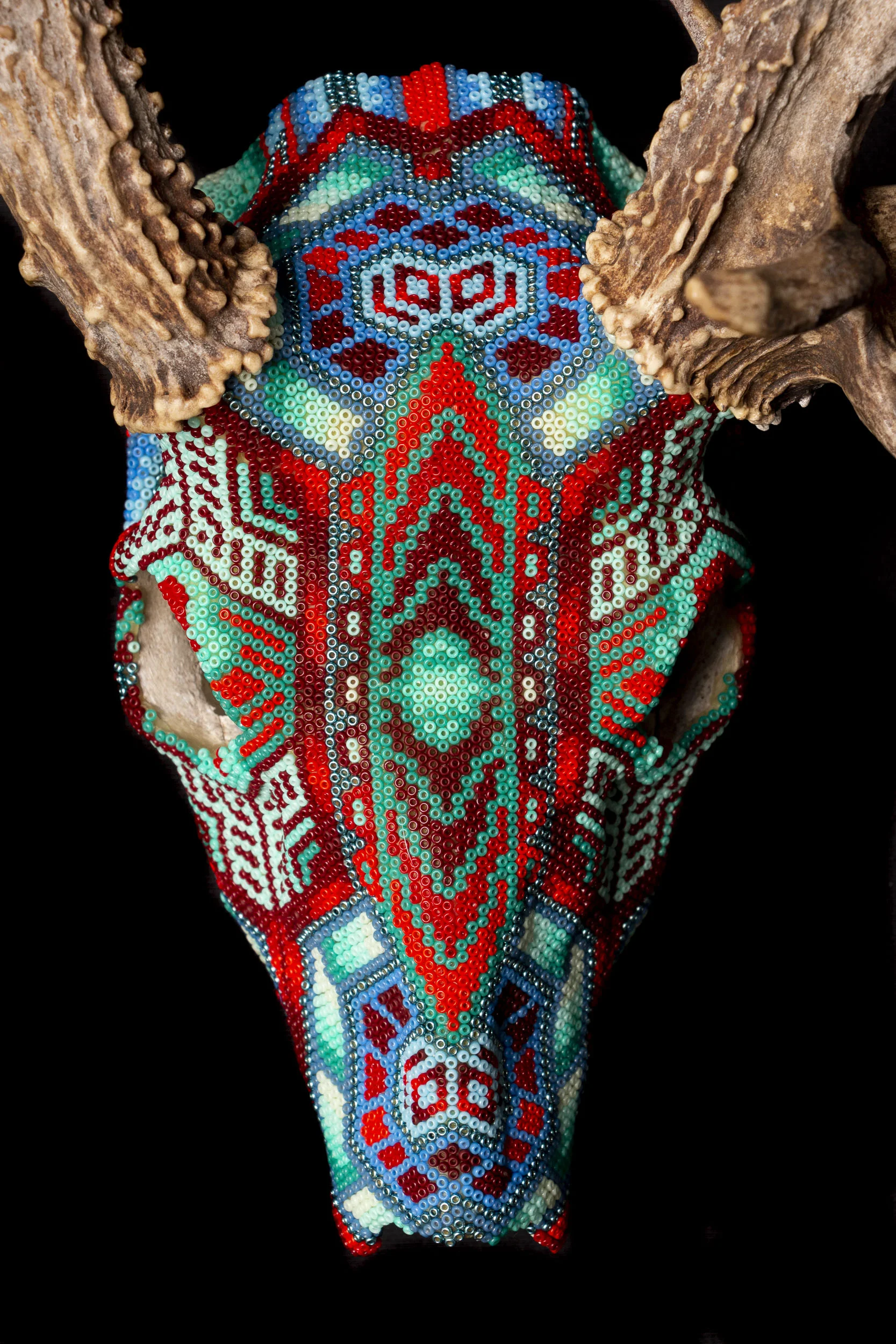 190601_CLIVES DEER_WEB HR_1.JPG