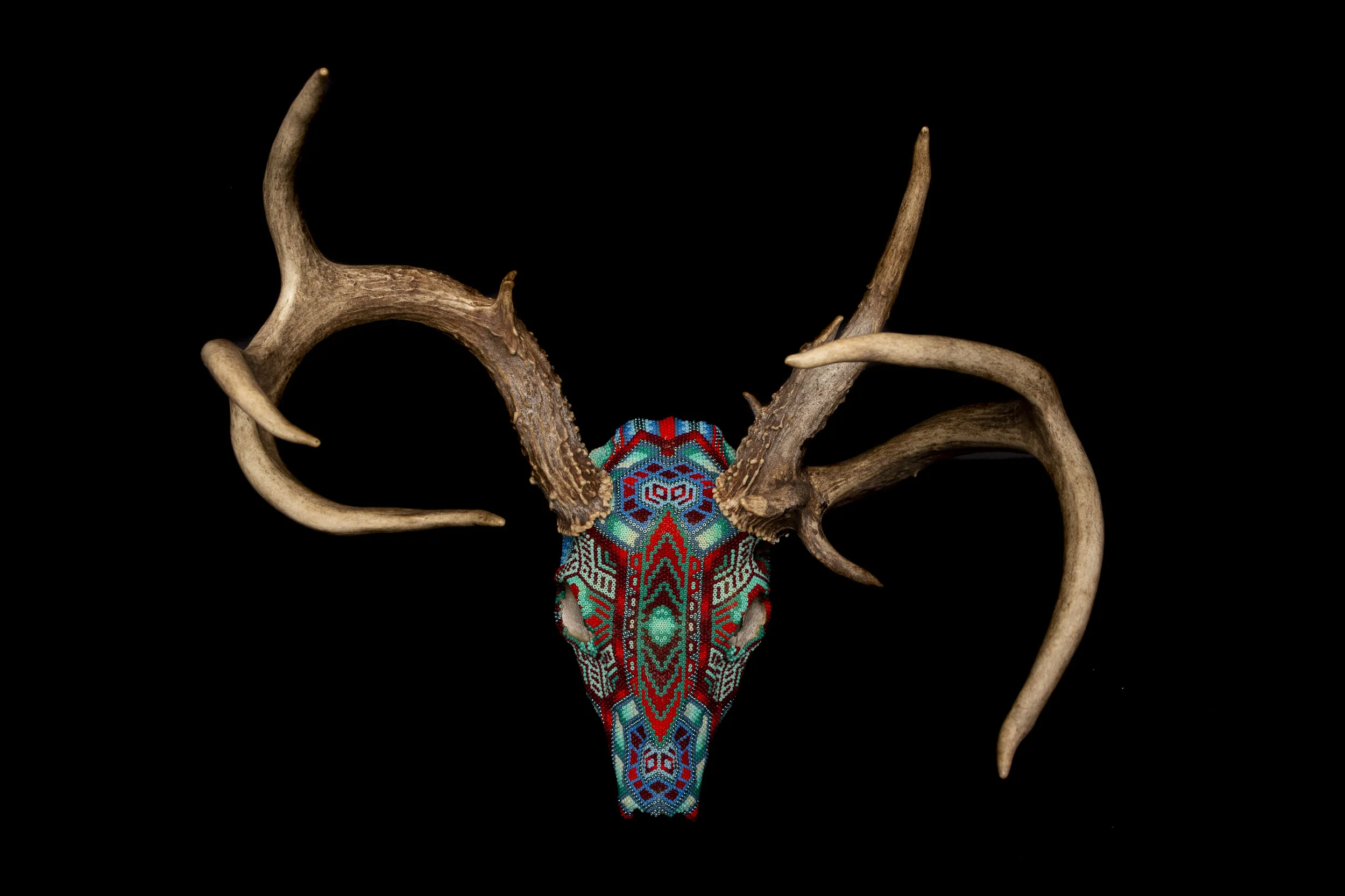 190601_CLIVES DEER_WEB HR.JPG