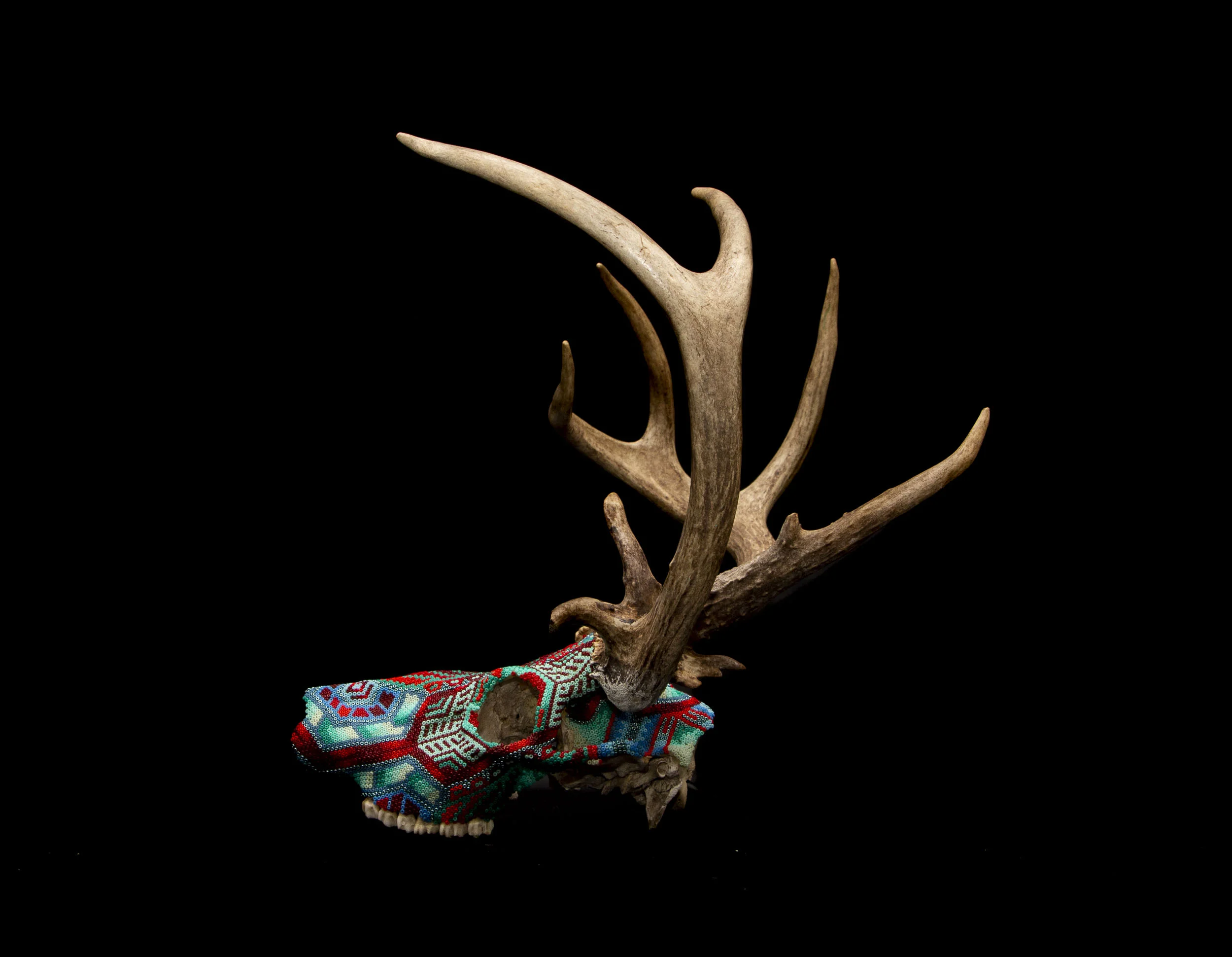 190603_CLIVES DEER_WEB HR.JPG