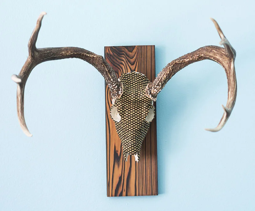 Gold & Black Deer 2014