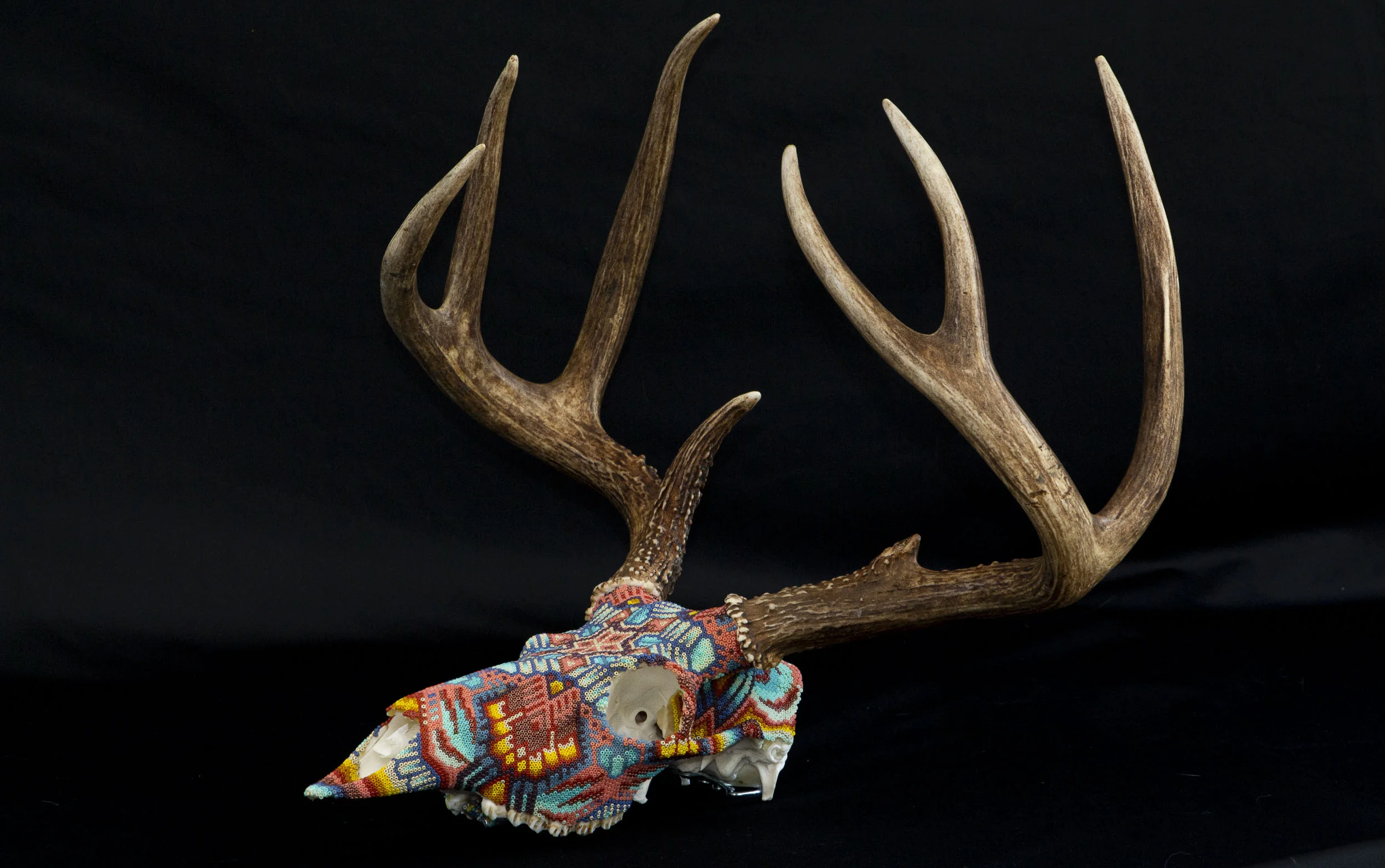 190606_guleke Neighborhood deer_WEB HR_14.JPG