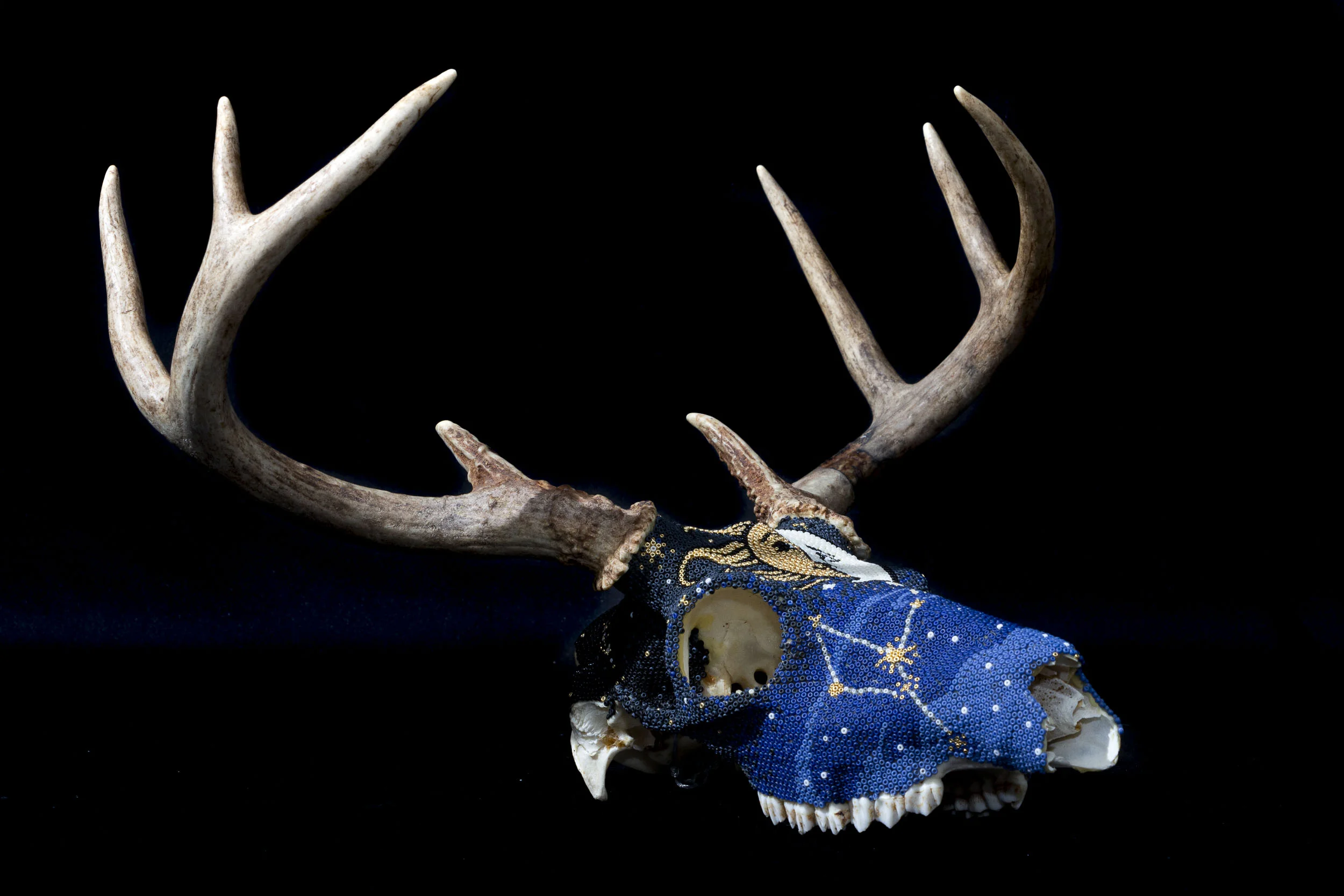  Cancer constellation 