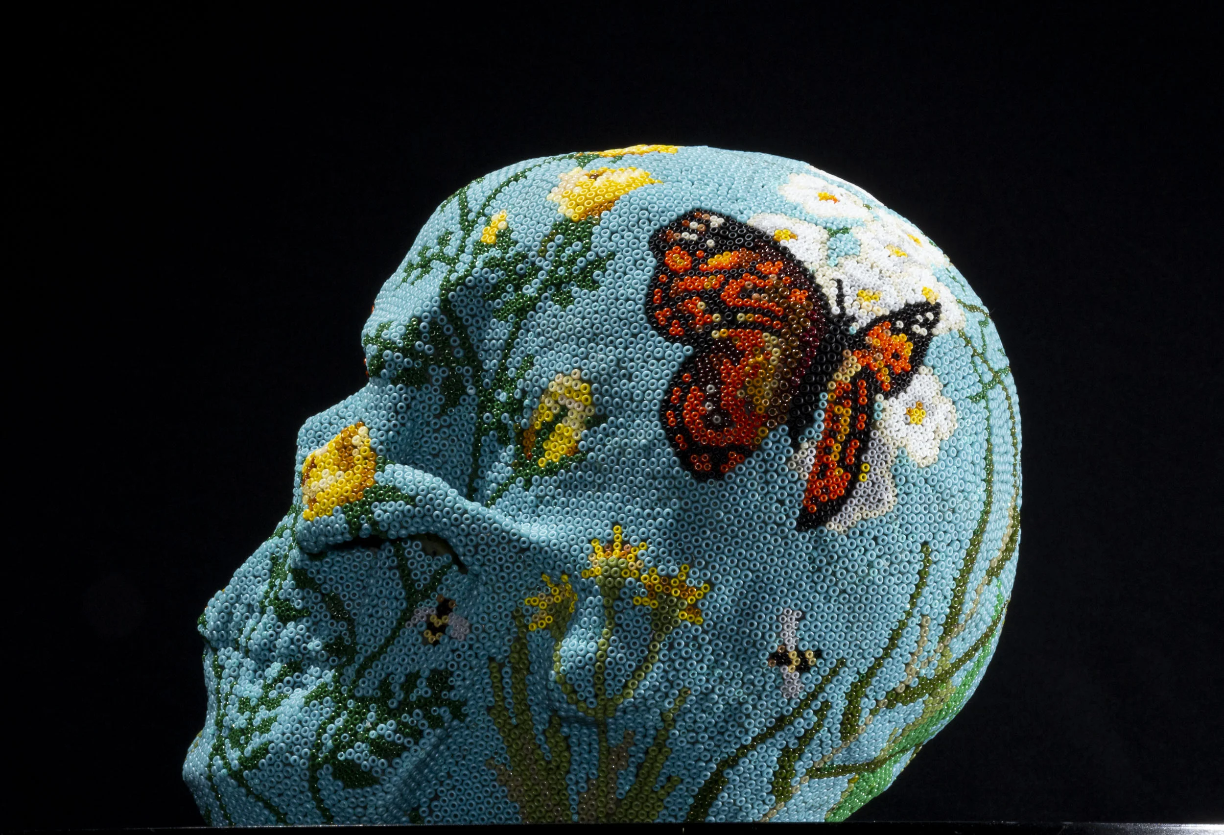190904Butterfly Skull_WEB HD_2.JPG