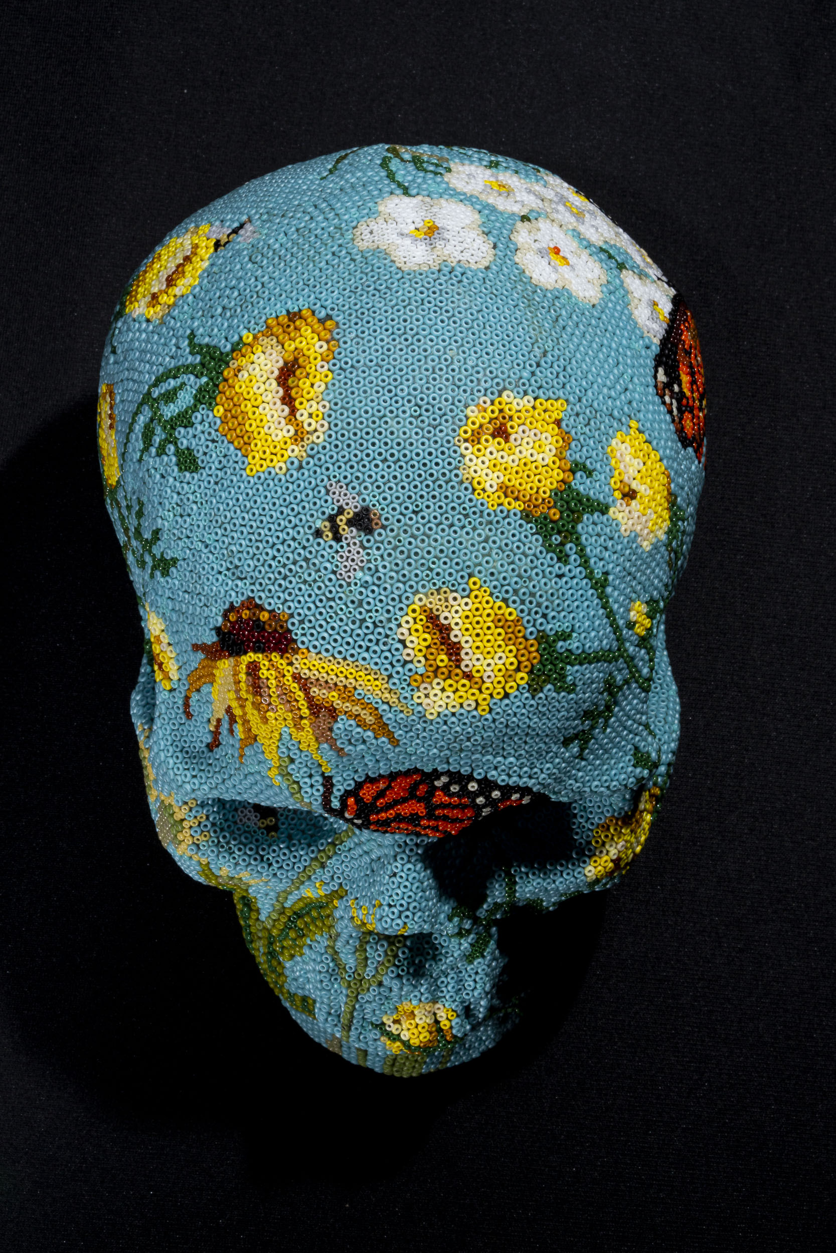 190904Butterfly Skull_WEB HD_3.JPG