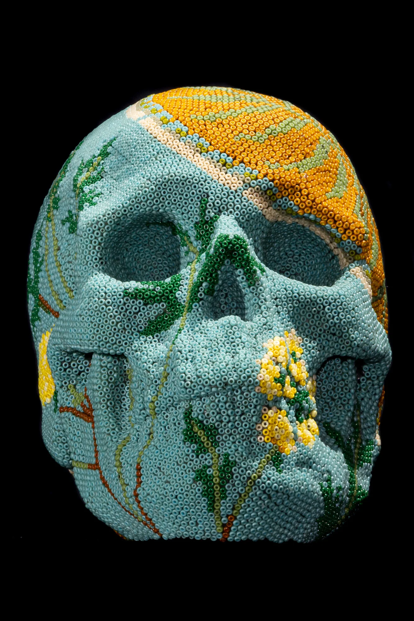 190909Human-Skull-IV_Thumb.JPG