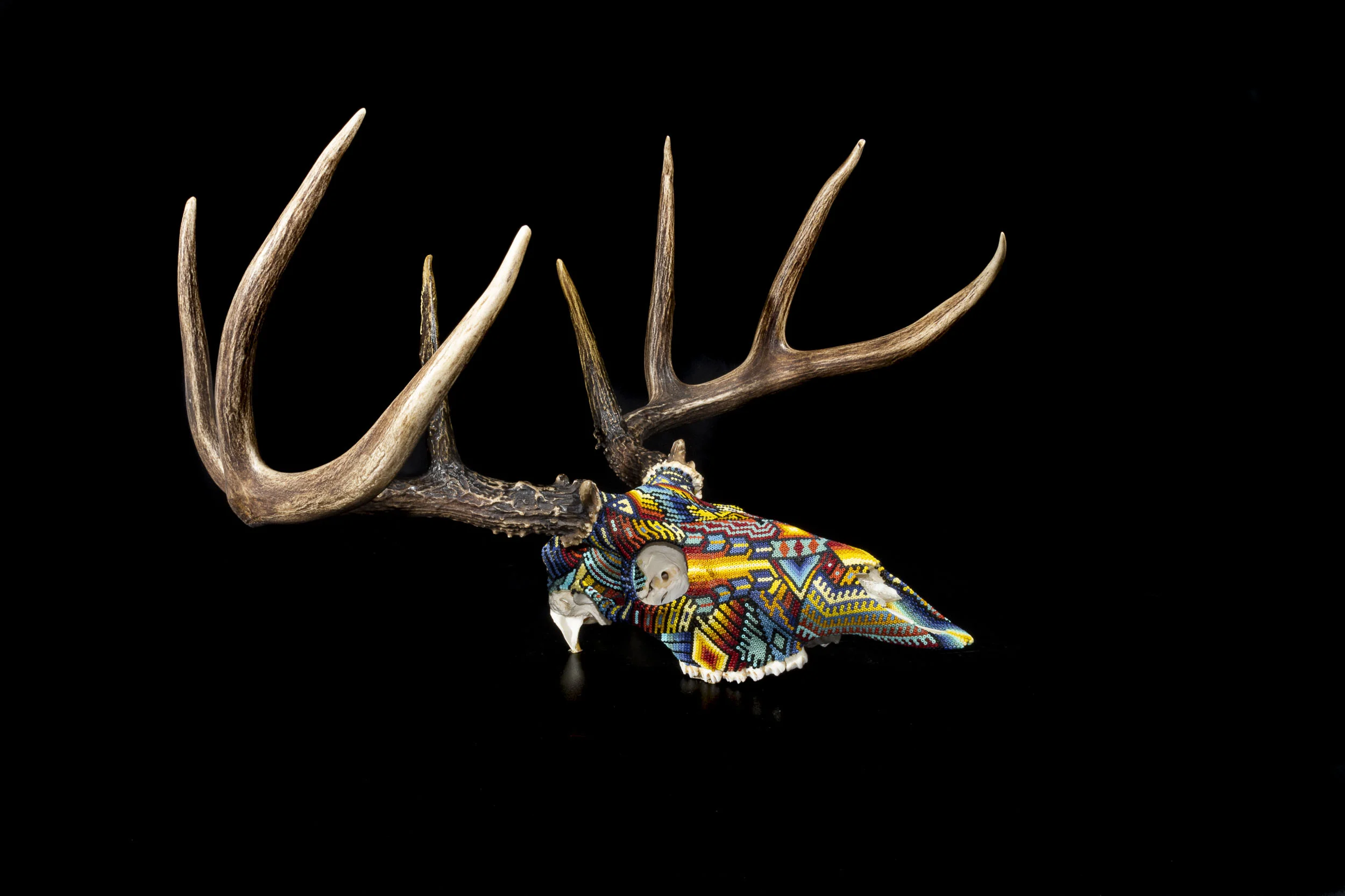 191001Deer Skull_WEB HD_8.JPG