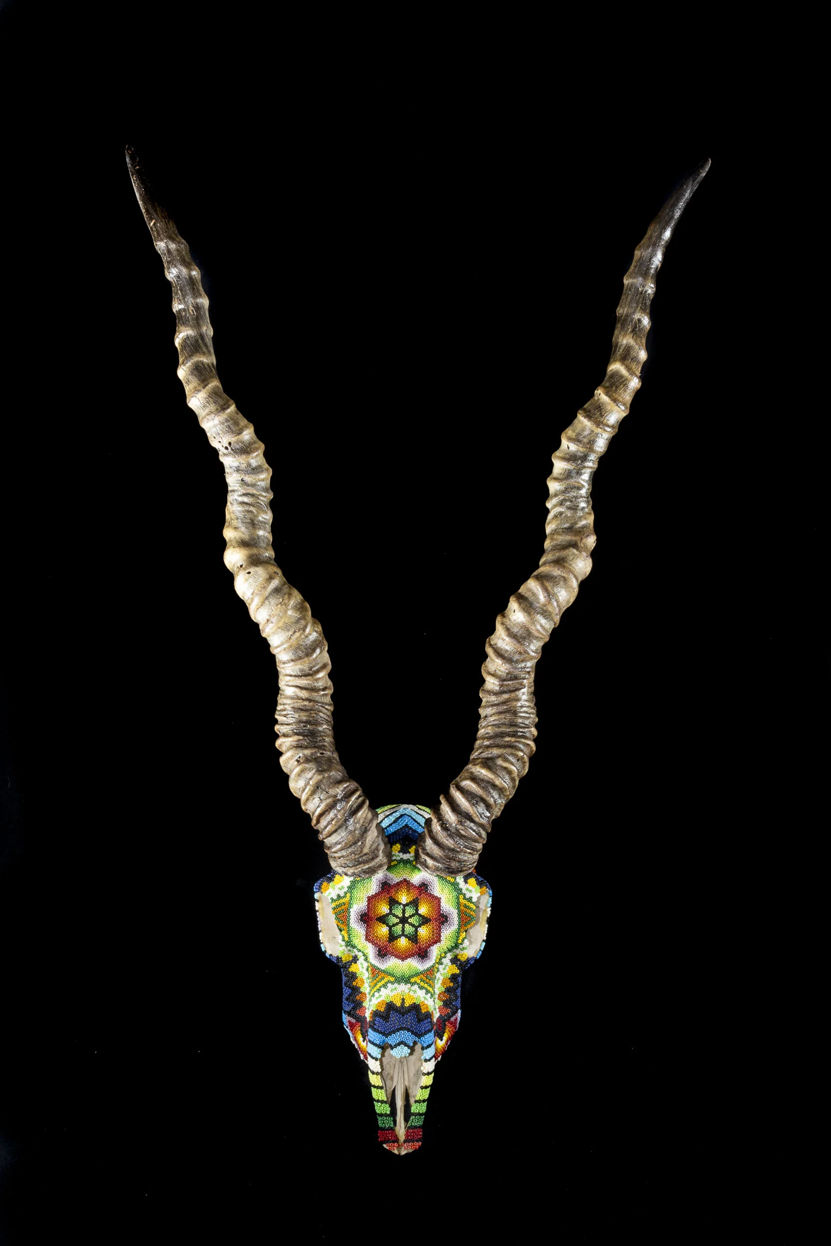 191001UGLY BLACK BUCK_WEB HD.JPG