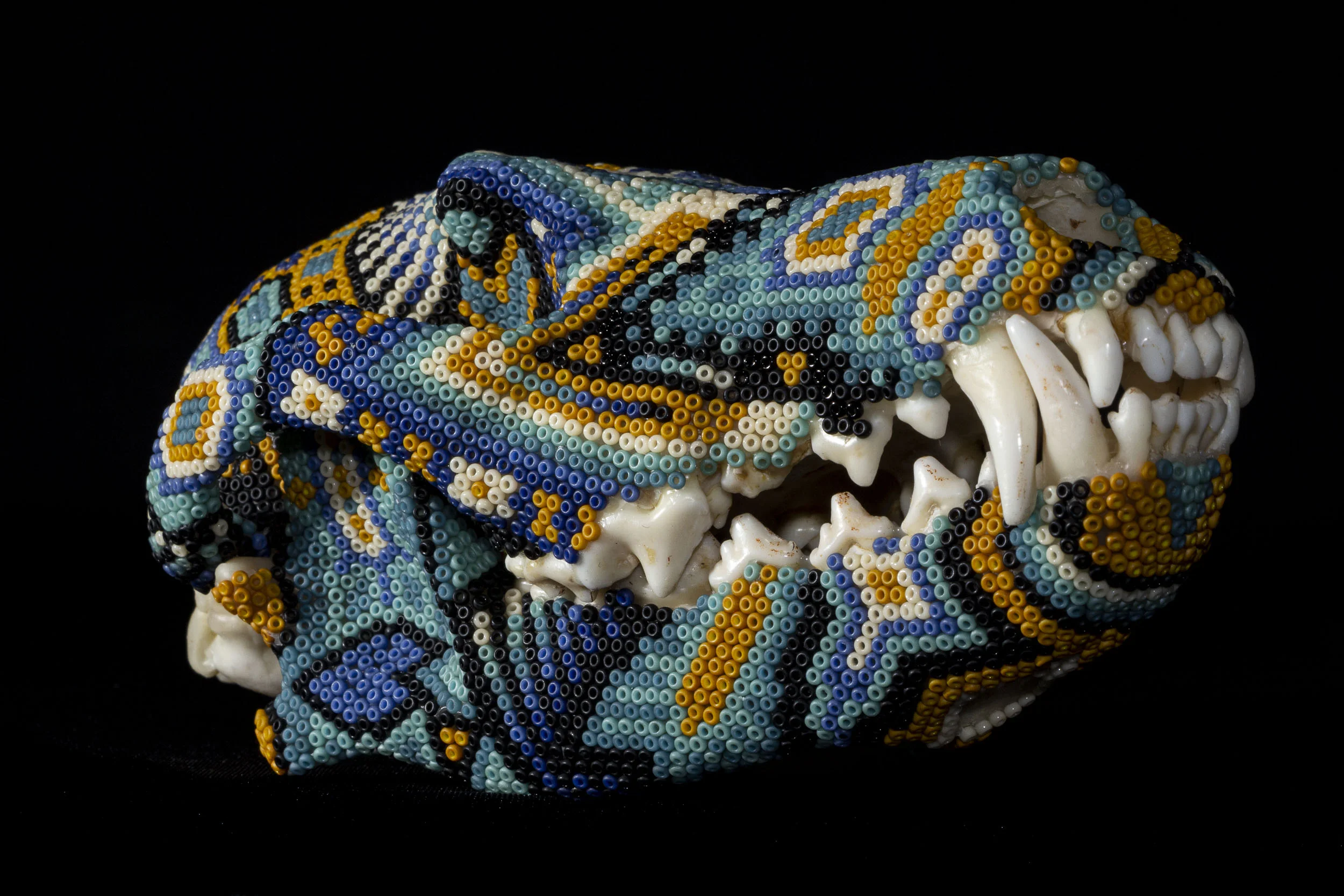 191007COYOTE SKULL_WEB HD_3.JPG