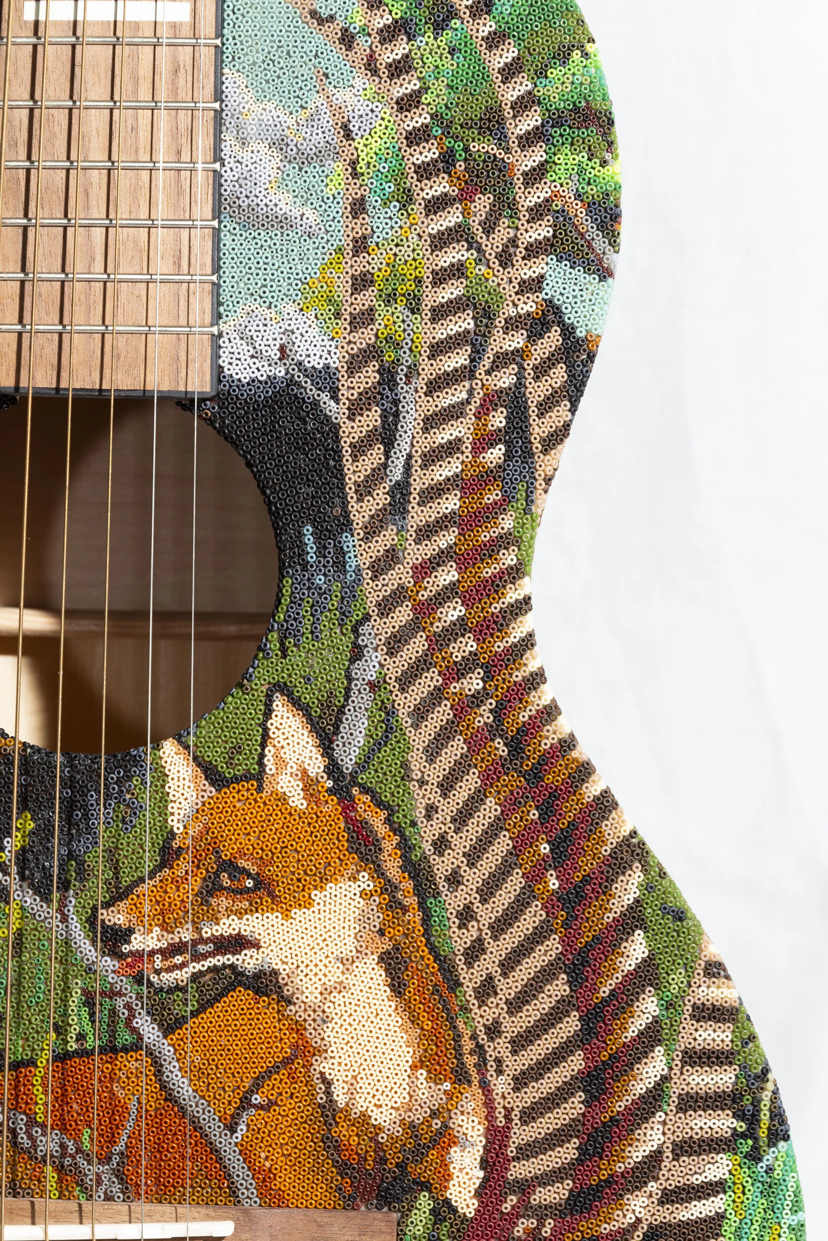 191227Pheasant FoxWEB HD_19.JPG