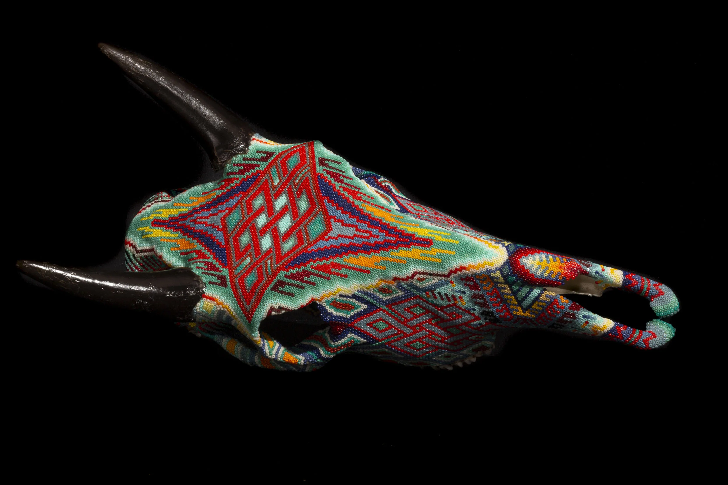 200112Corigan NilgaiWEB HD_3.JPG