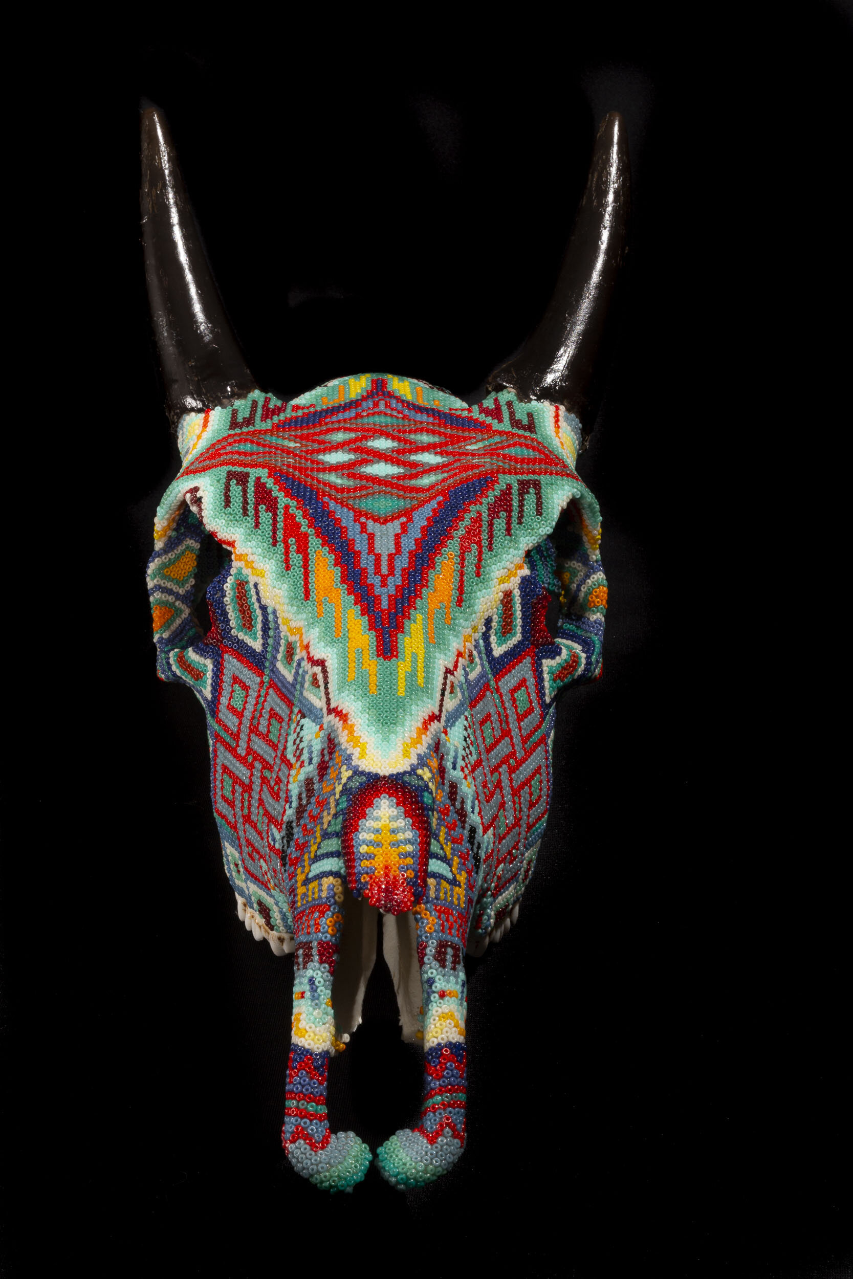 200112Corigan NilgaiWEB HD_1.JPG