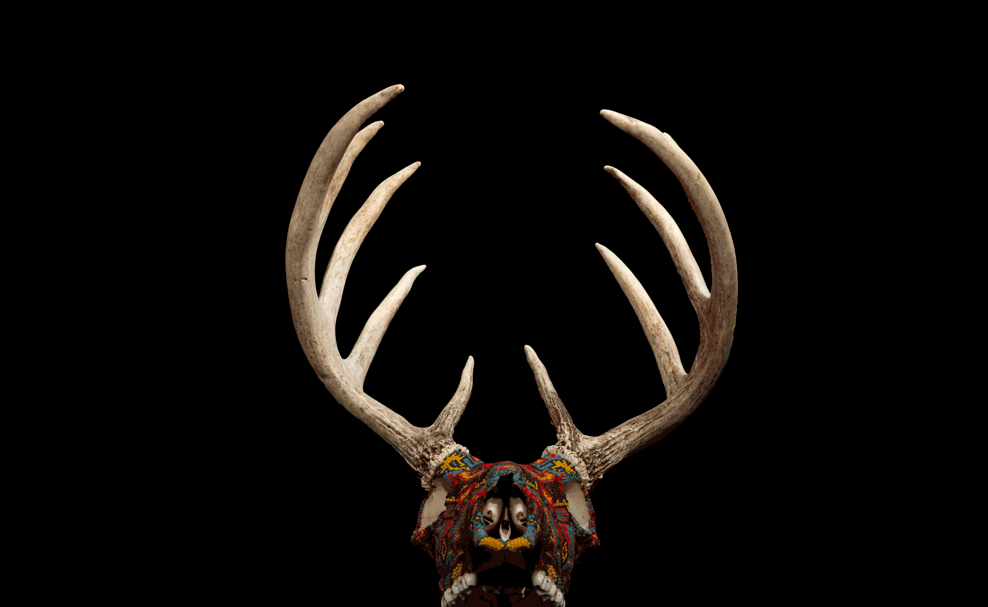  Covid-19 Deer. This piece was completed during the first couple weeks of the Covid-19 isolation period.   15” X 13” X 16”   