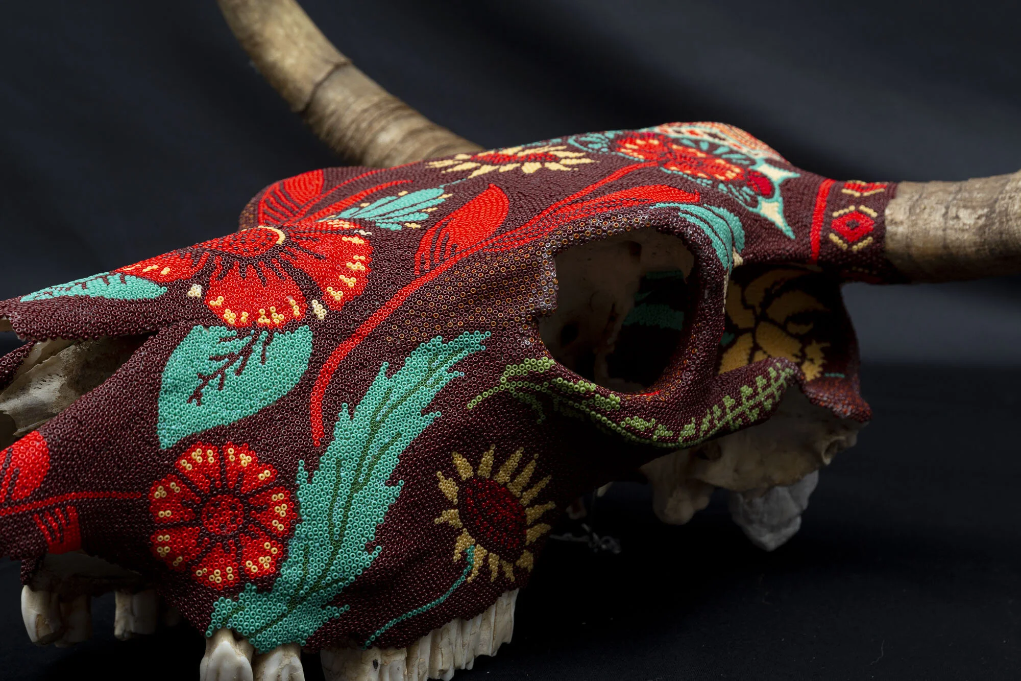 200426BULL SKULL 2020WEB HD__13.JPG